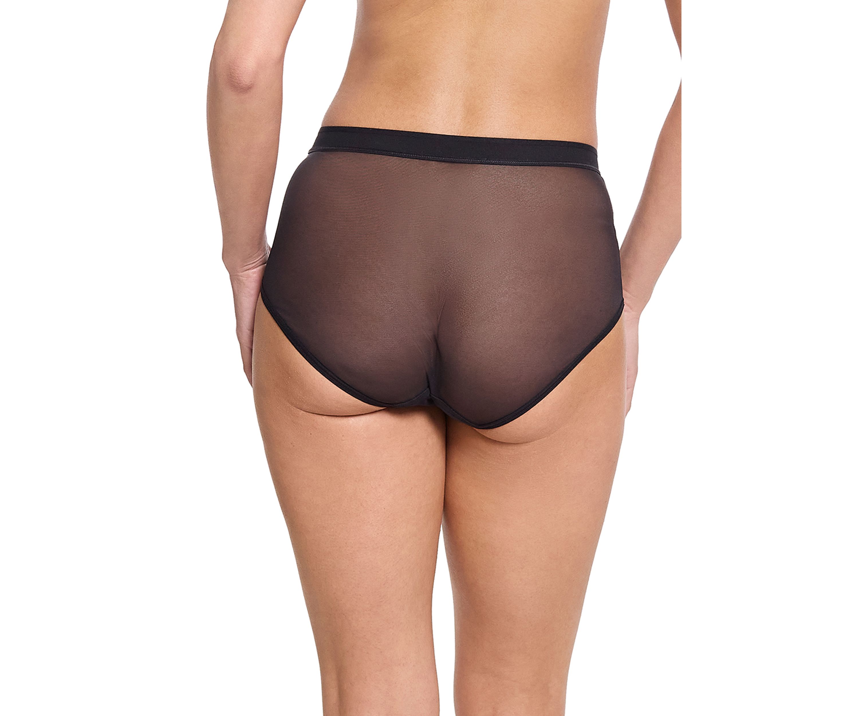 Mesh V-French Brief Panty