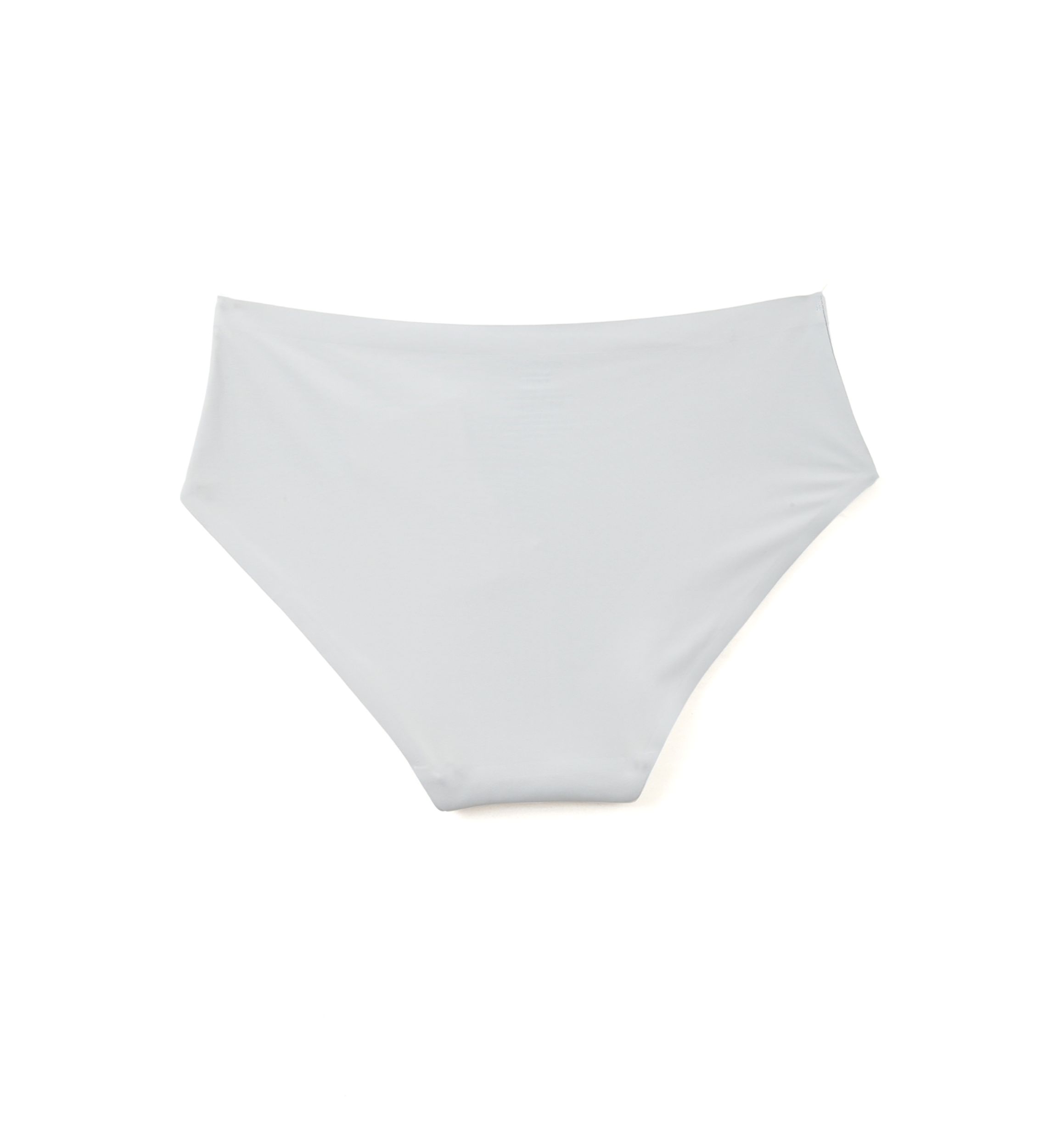 It Factor Hipster Panty