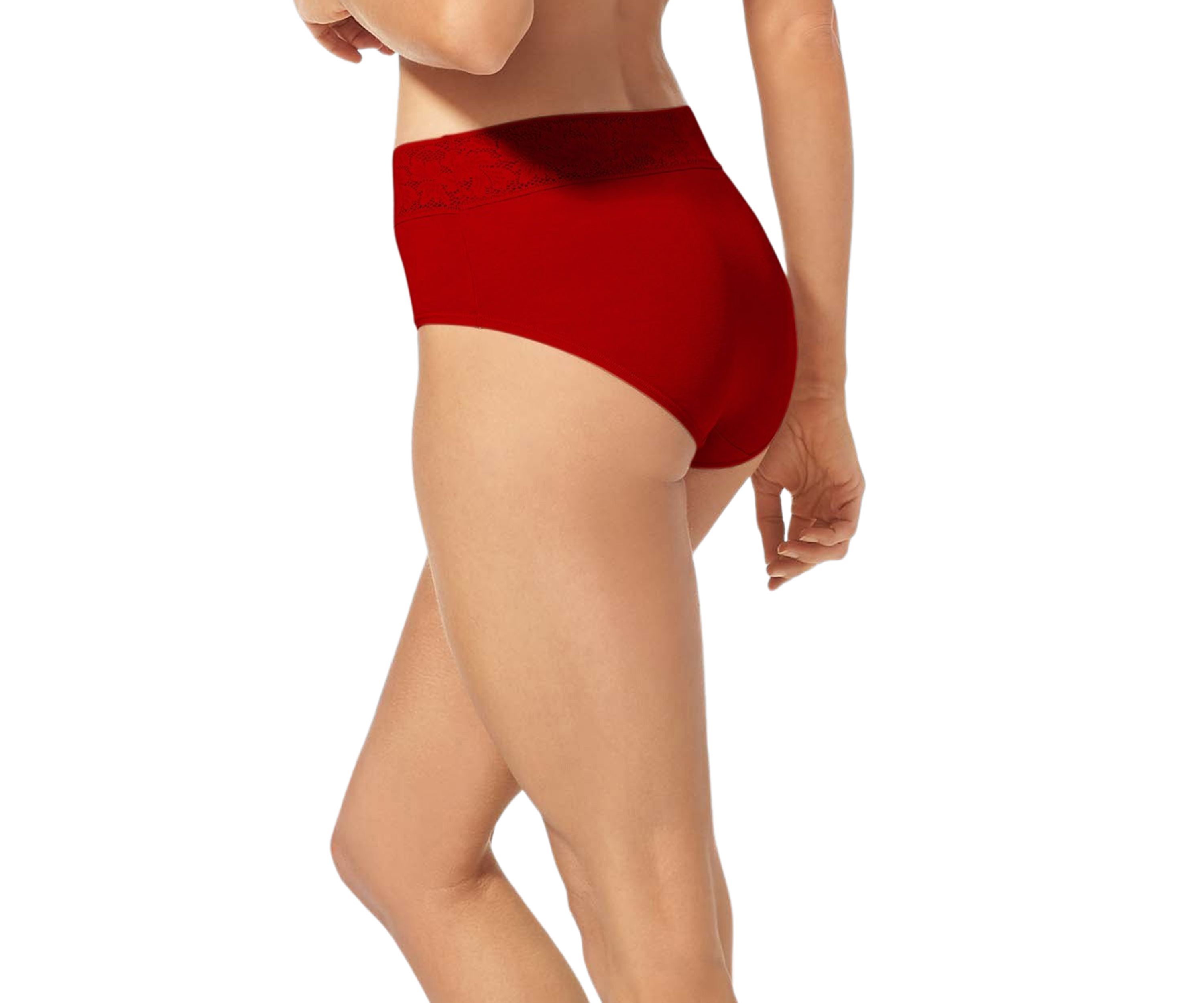 Lace Waist High Rise Brief Panty