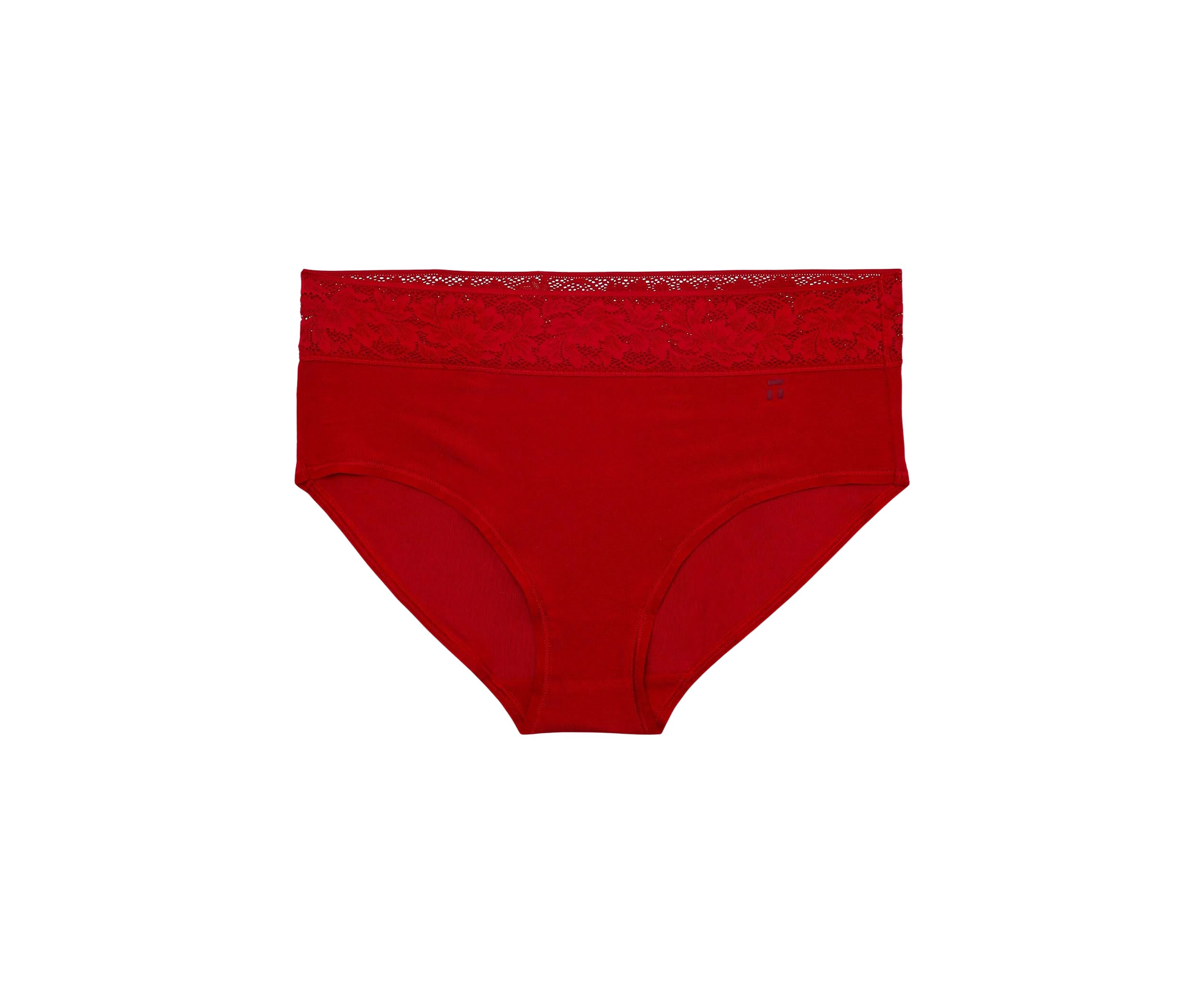 Lace Waist High Rise Brief Panty