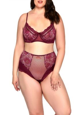 Murial Plus Mesh, Satin, & Lace Trim Wire Bra Set with Full Coverage  Keyhole Back panty and Adjustable Straps