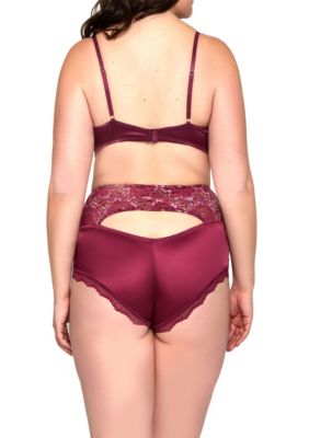 Murial Plus Mesh, Satin, & Lace Trim Wire Bra Set with Full Coverage  Keyhole Back panty and Adjustable Straps