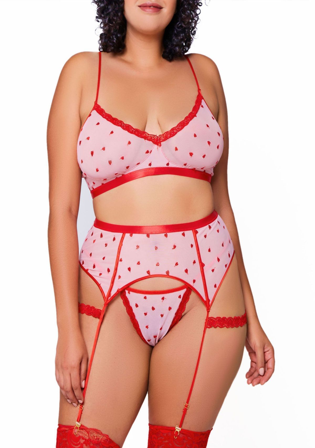 Darla Plus Size 3PC Heart Embroidered Mesh Soft Cup Bra Set. Garters are Sewn in to Skirt with Harness Style Laced Thigh Bands. All Straps are Adjustable.