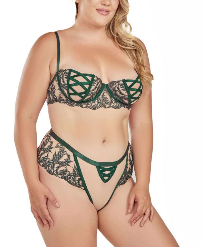 Womens Plus Size 2PC Embroidered Mesh Underwire Bra and Panty Lingerie Set