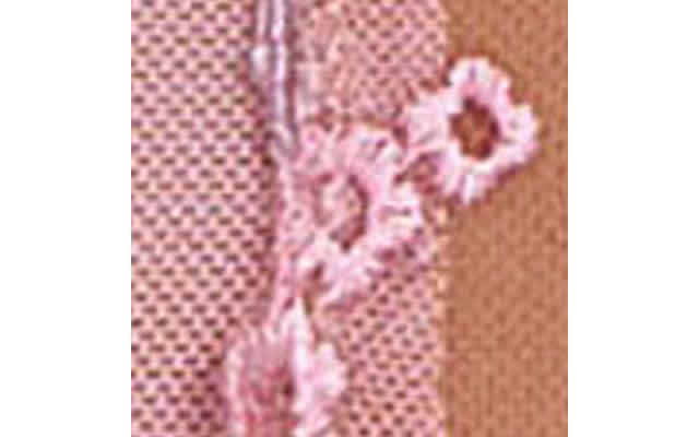 Pink-Purple