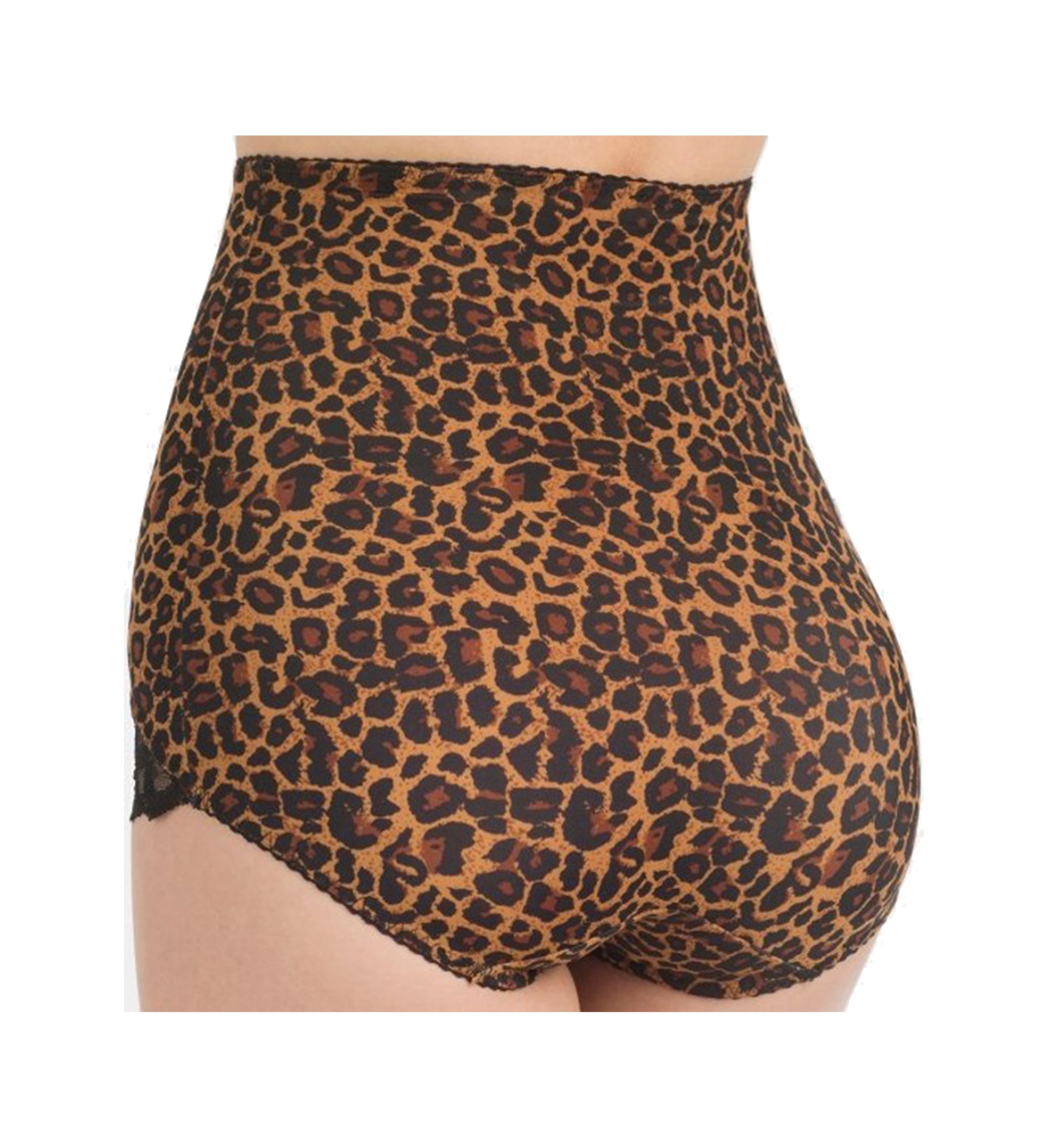 Panty Briefs- Light Shaping 