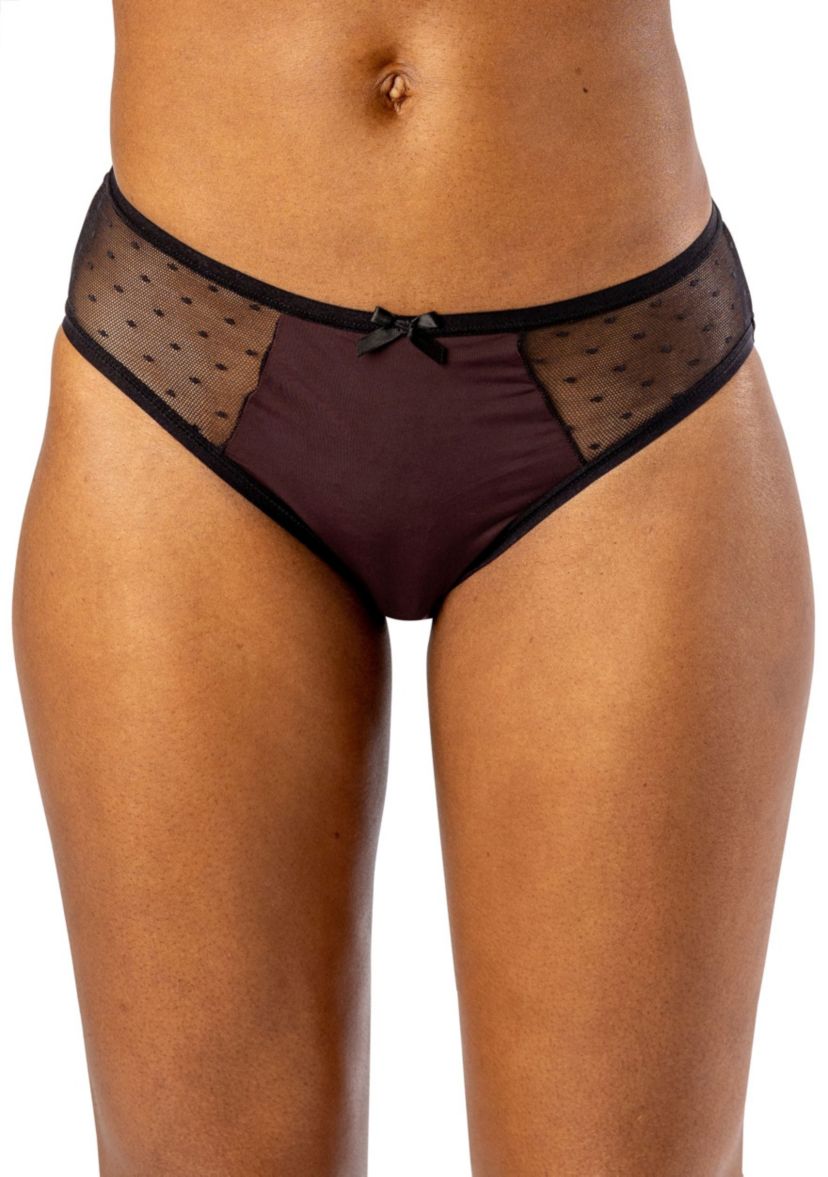 "Silk Magic" + Mesh Bikini Panty