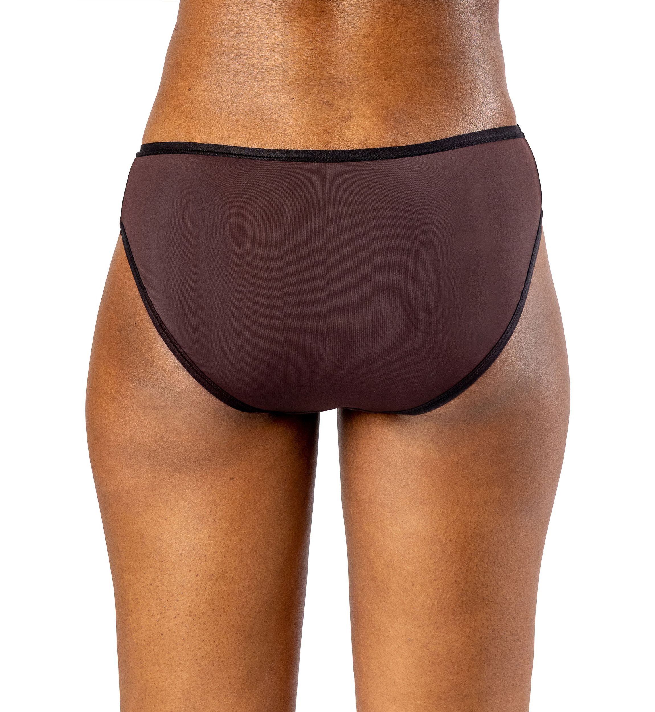 "Silk Magic" + Mesh Bikini Panty