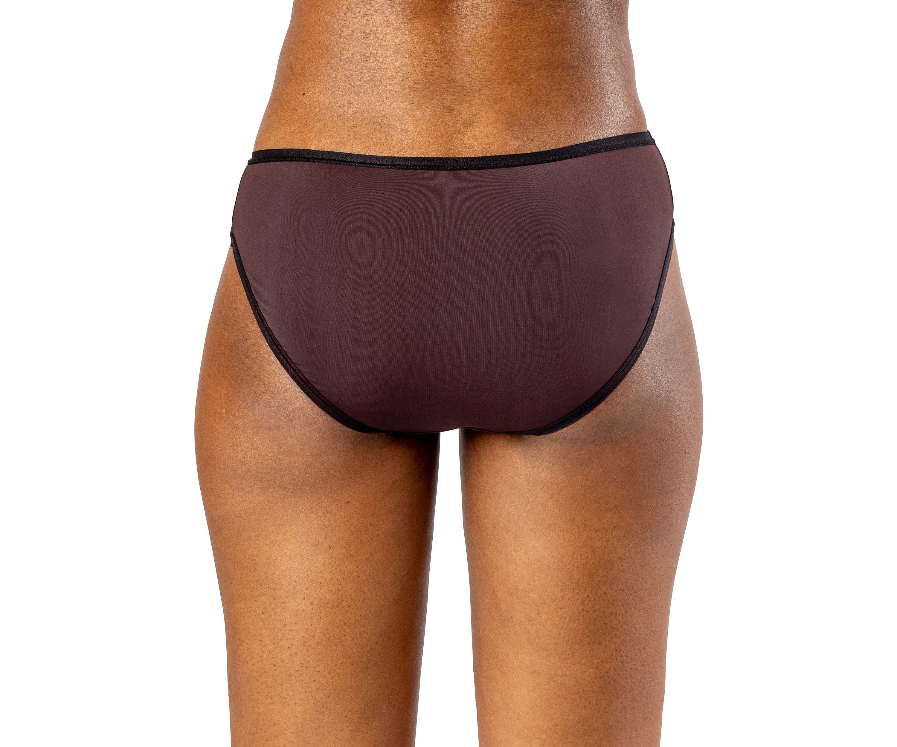 "Silk Magic" + Mesh Bikini Panty