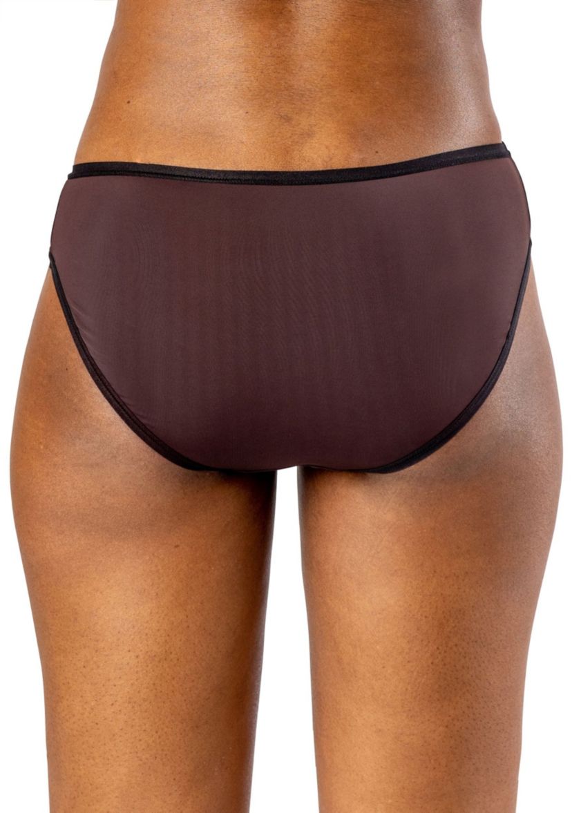 "Silk Magic" + Mesh Bikini Panty
