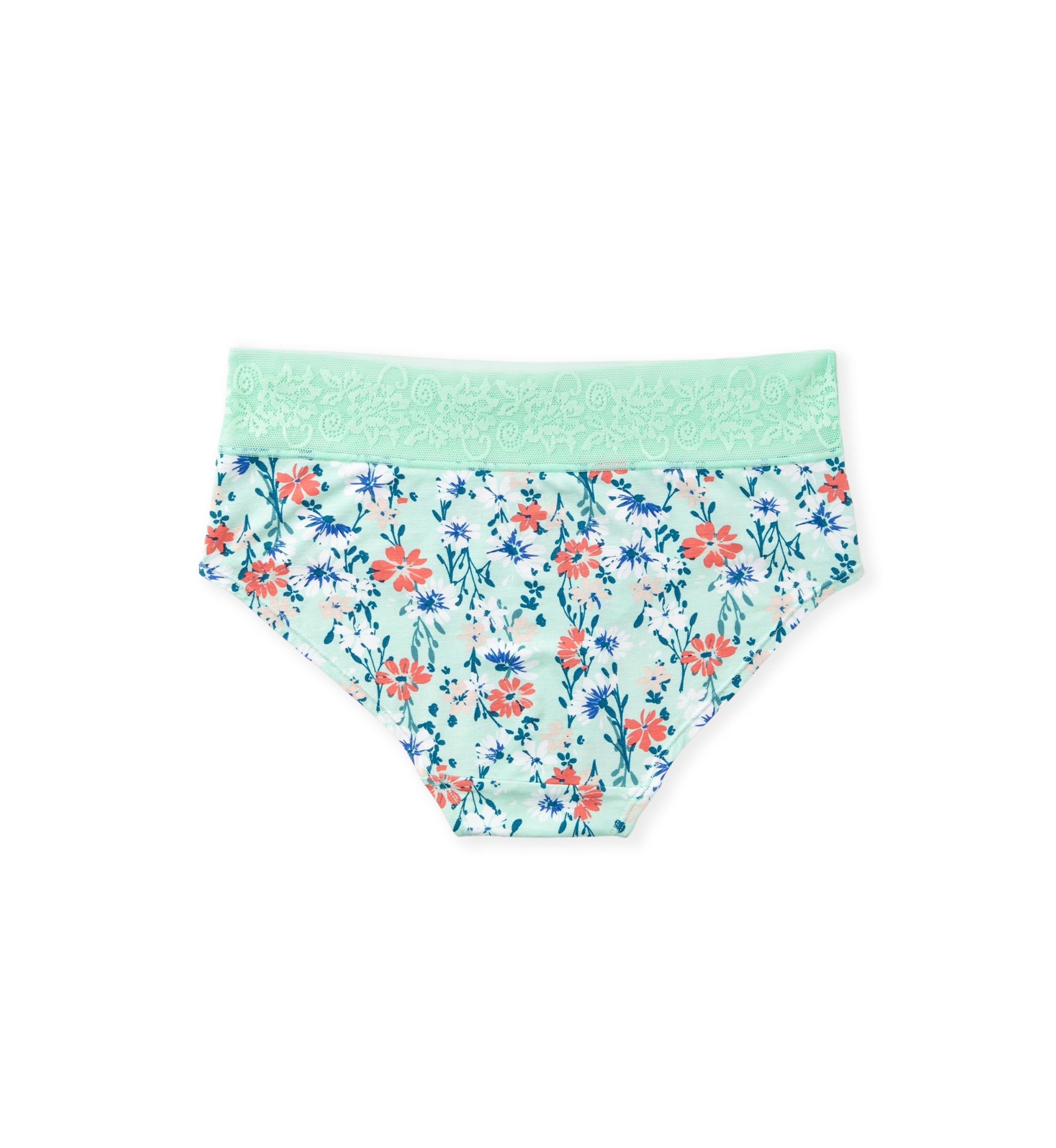Printed Lace Waist Soft Comfort Hipster Panty
