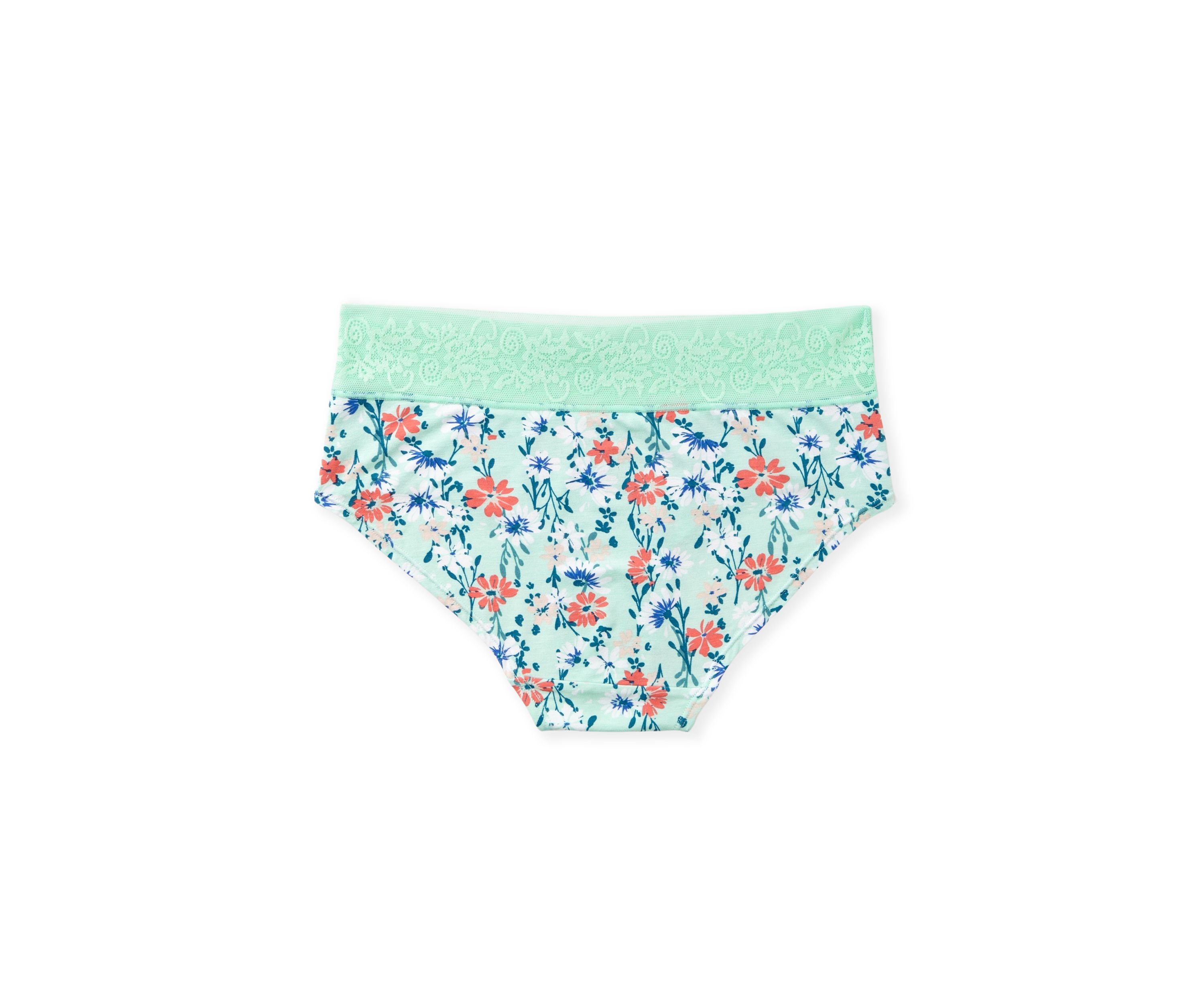 Printed Lace Waist Soft Comfort Hipster Panty
