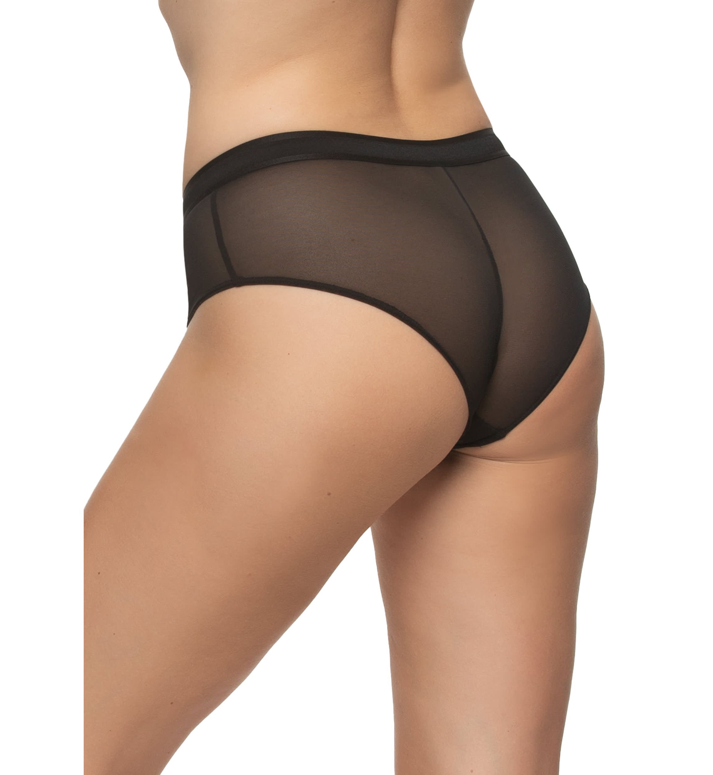 Ethereal Cheeky Mesh Hipster