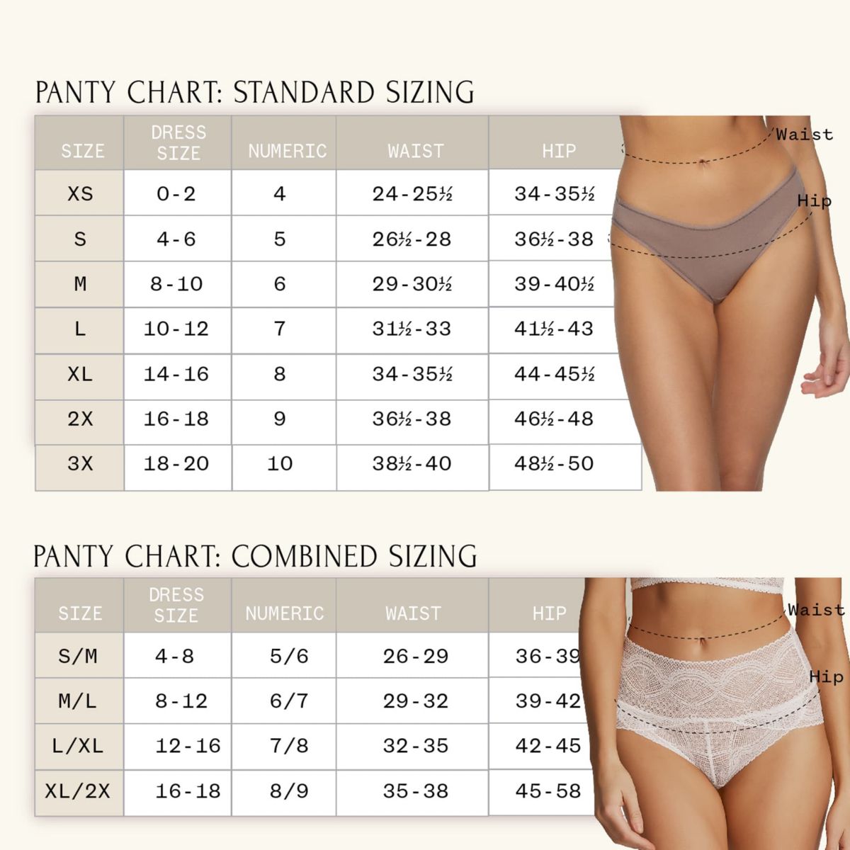 Stripe Delight Lace Hipster Panty