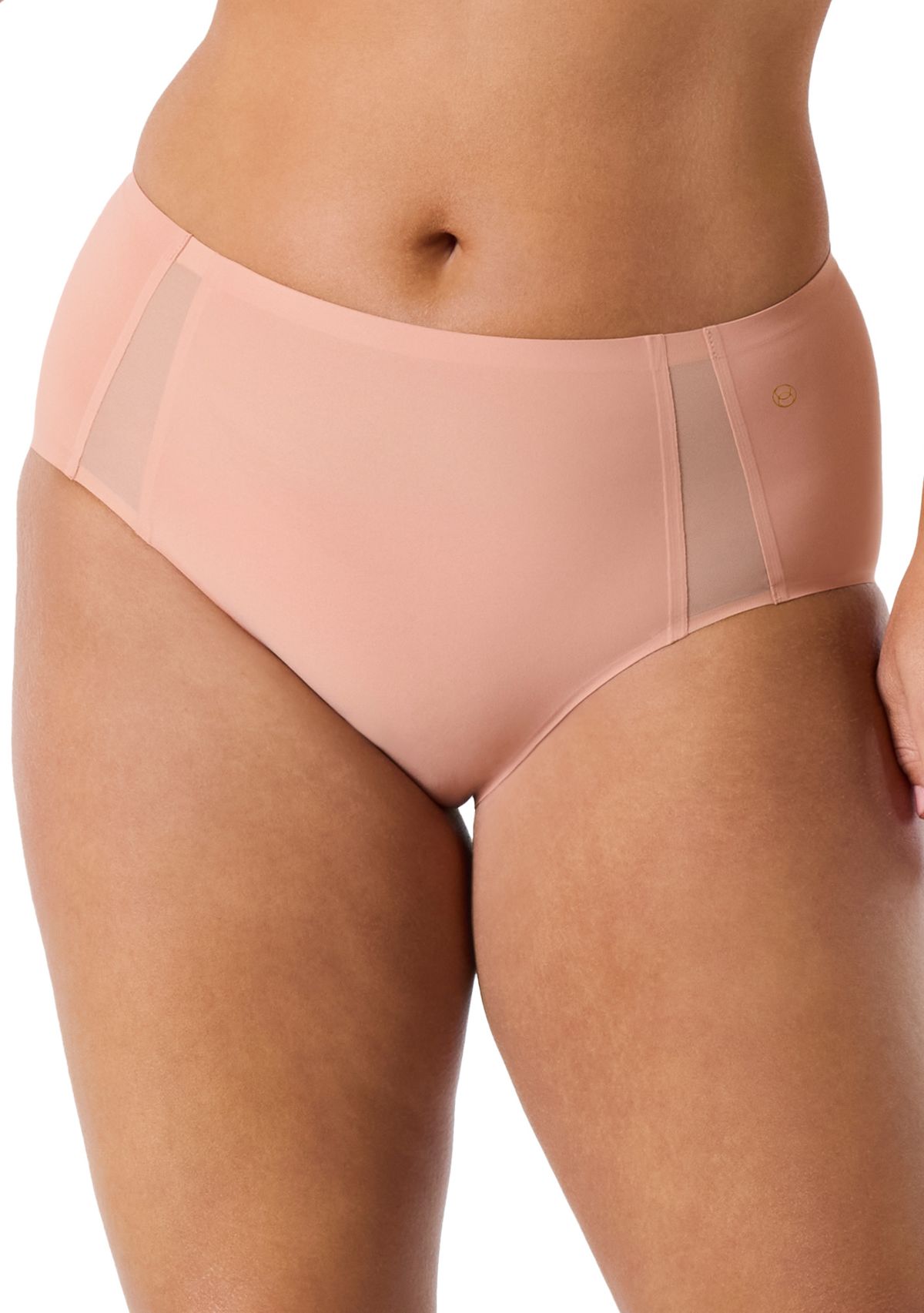 High Waisted Retro Mesh Bikini