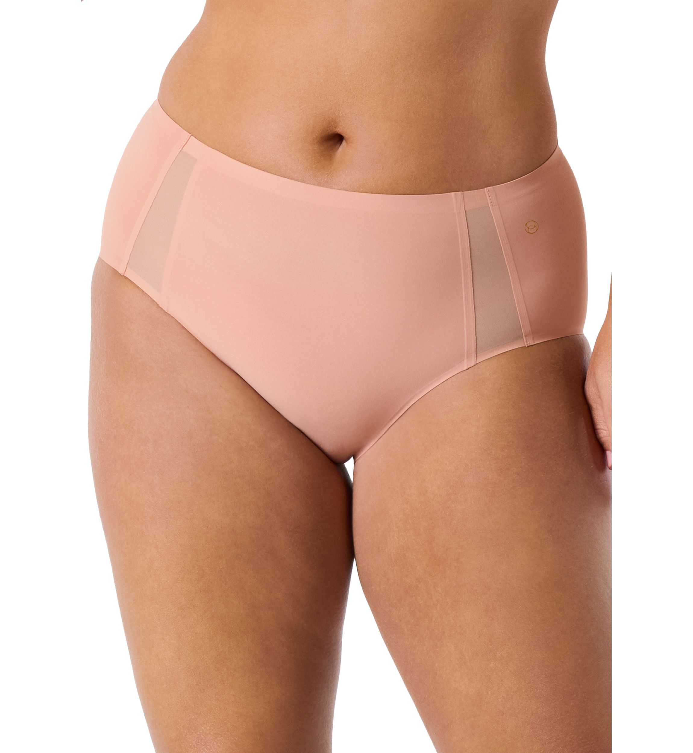 High Waisted Retro Mesh Bikini