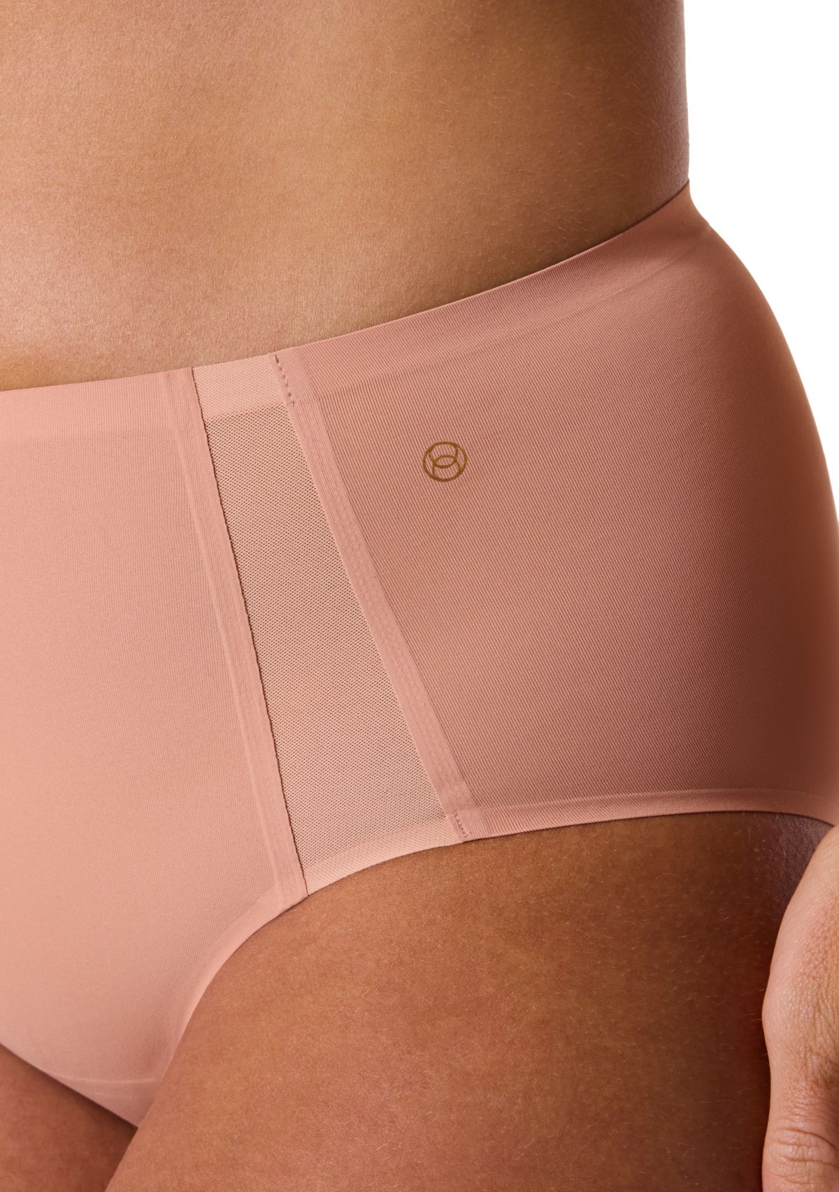 High Waisted Retro Mesh Bikini