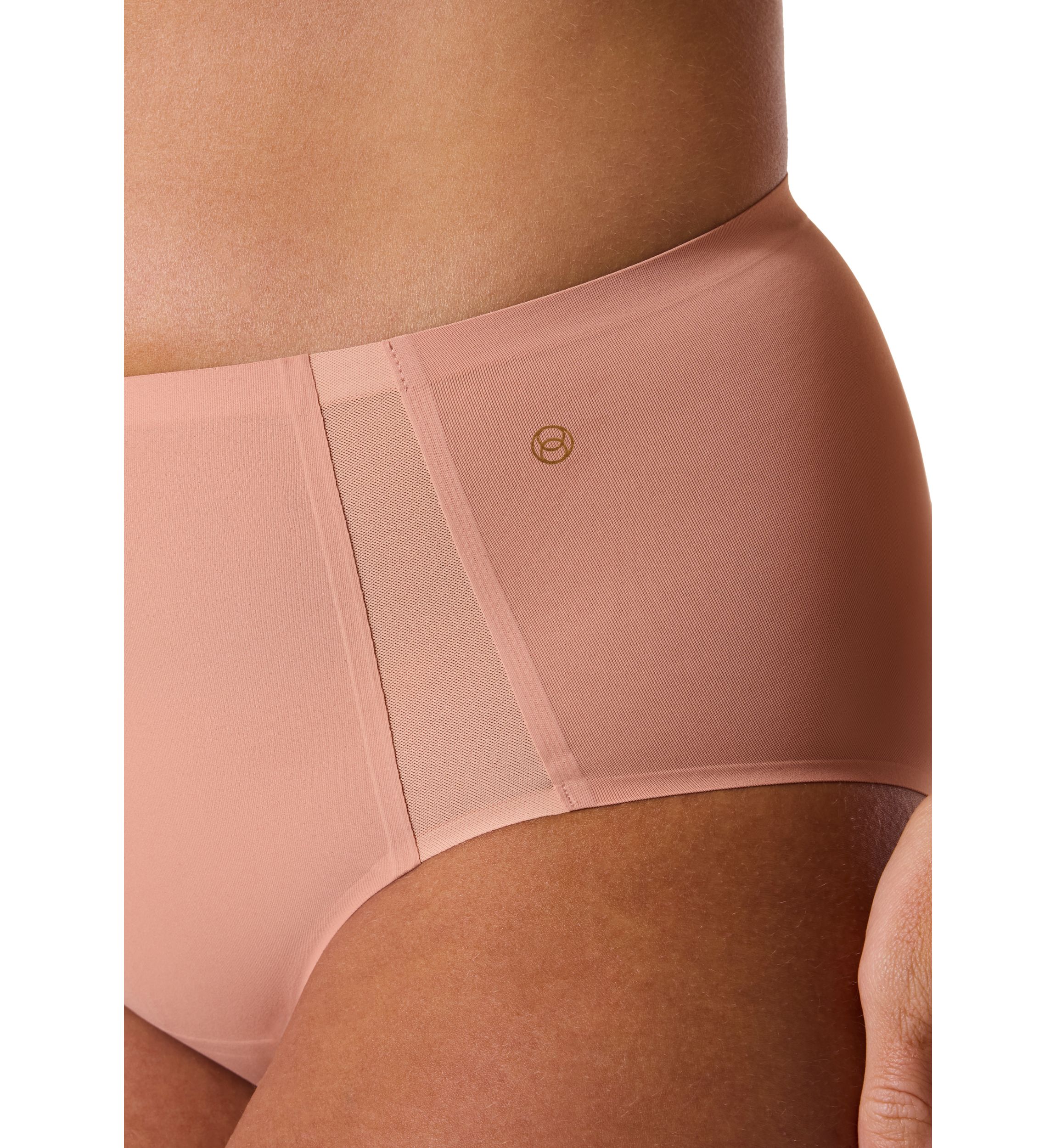 High Waisted Retro Mesh Bikini
