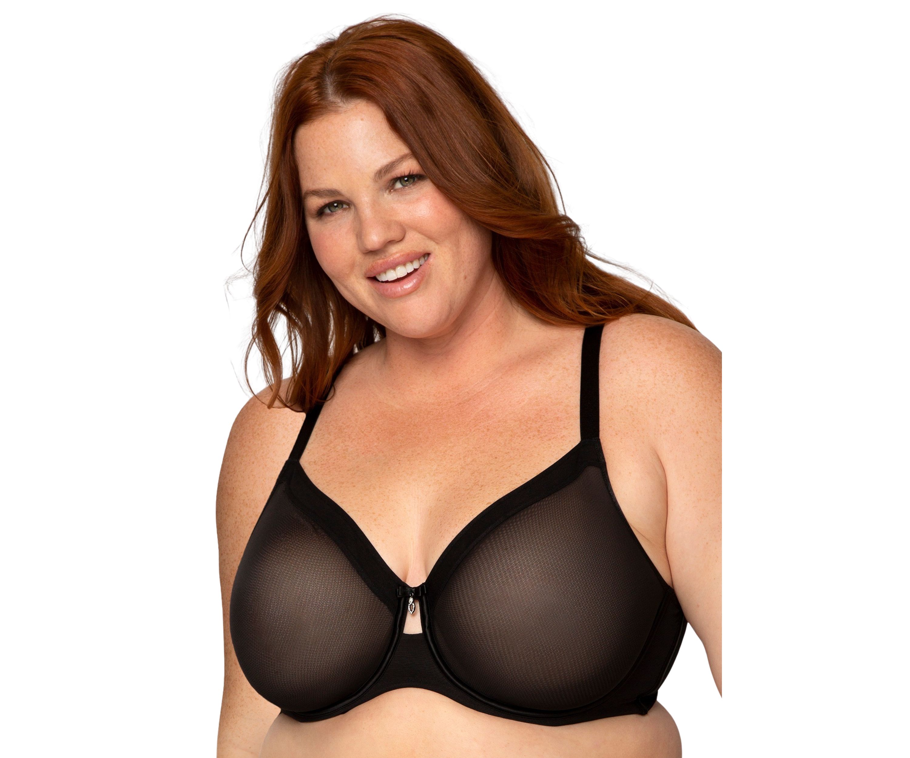 Plus Size Sheer Mesh Full Coverage Unlined Underwire Bra