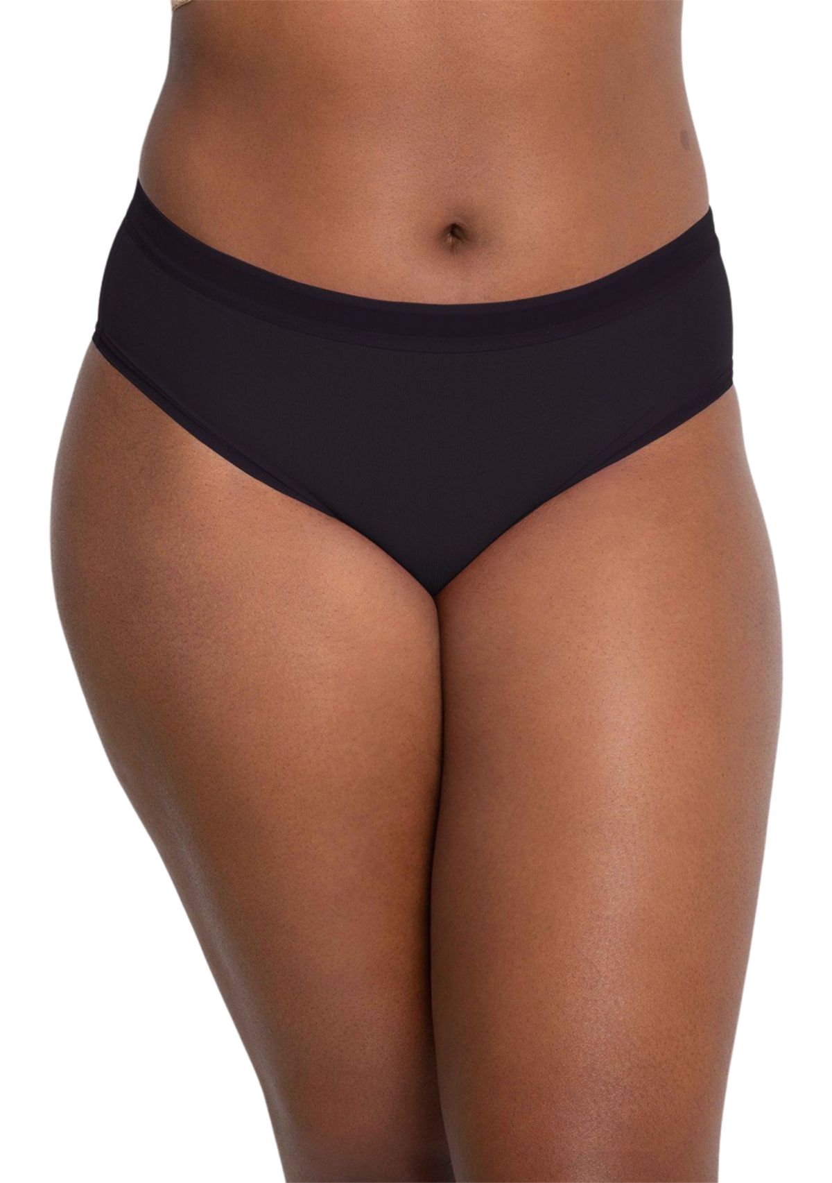 Plus Size Sheer Mesh High Cut Brief Panty