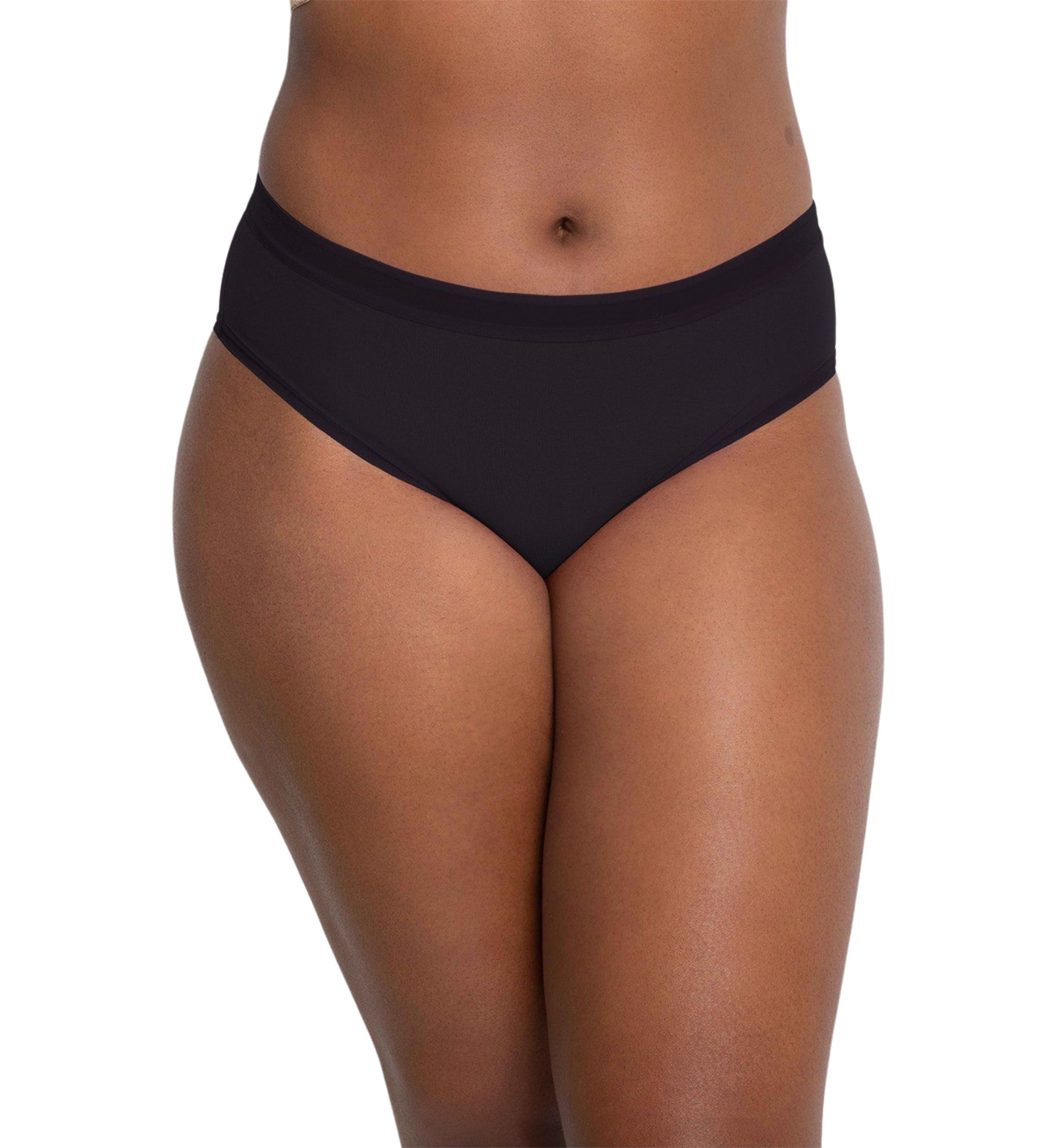 Plus Size Sheer Mesh High Cut Brief Panty