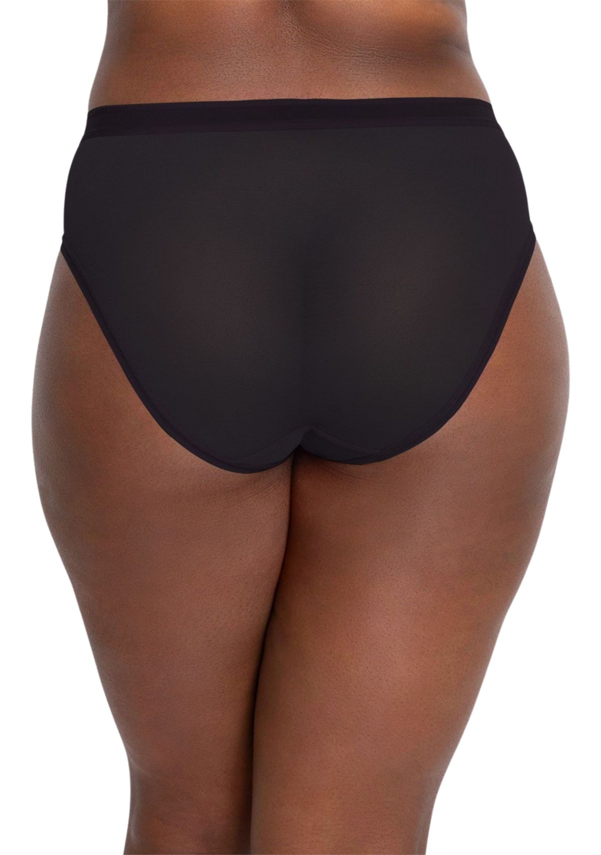 Plus Size Sheer Mesh High Cut Brief Panty