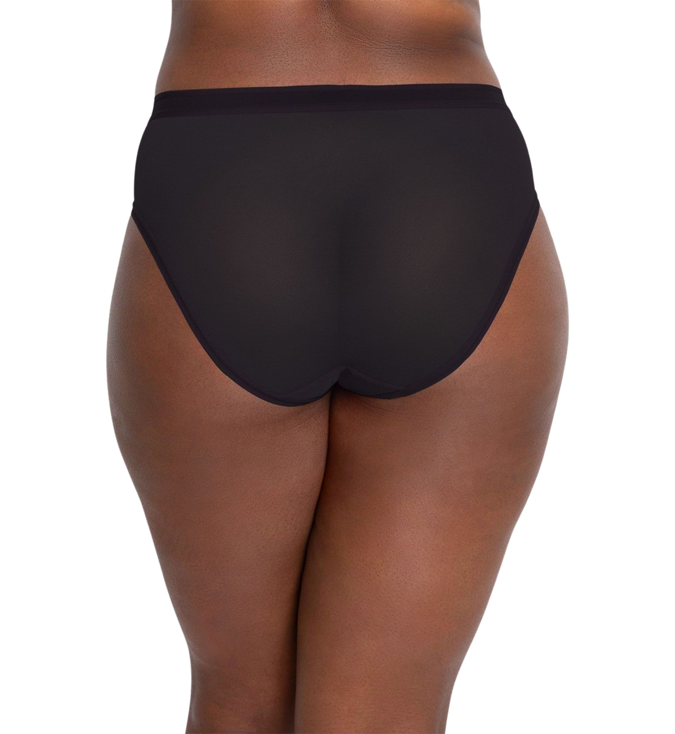 Plus Size Sheer Mesh High Cut Brief Panty