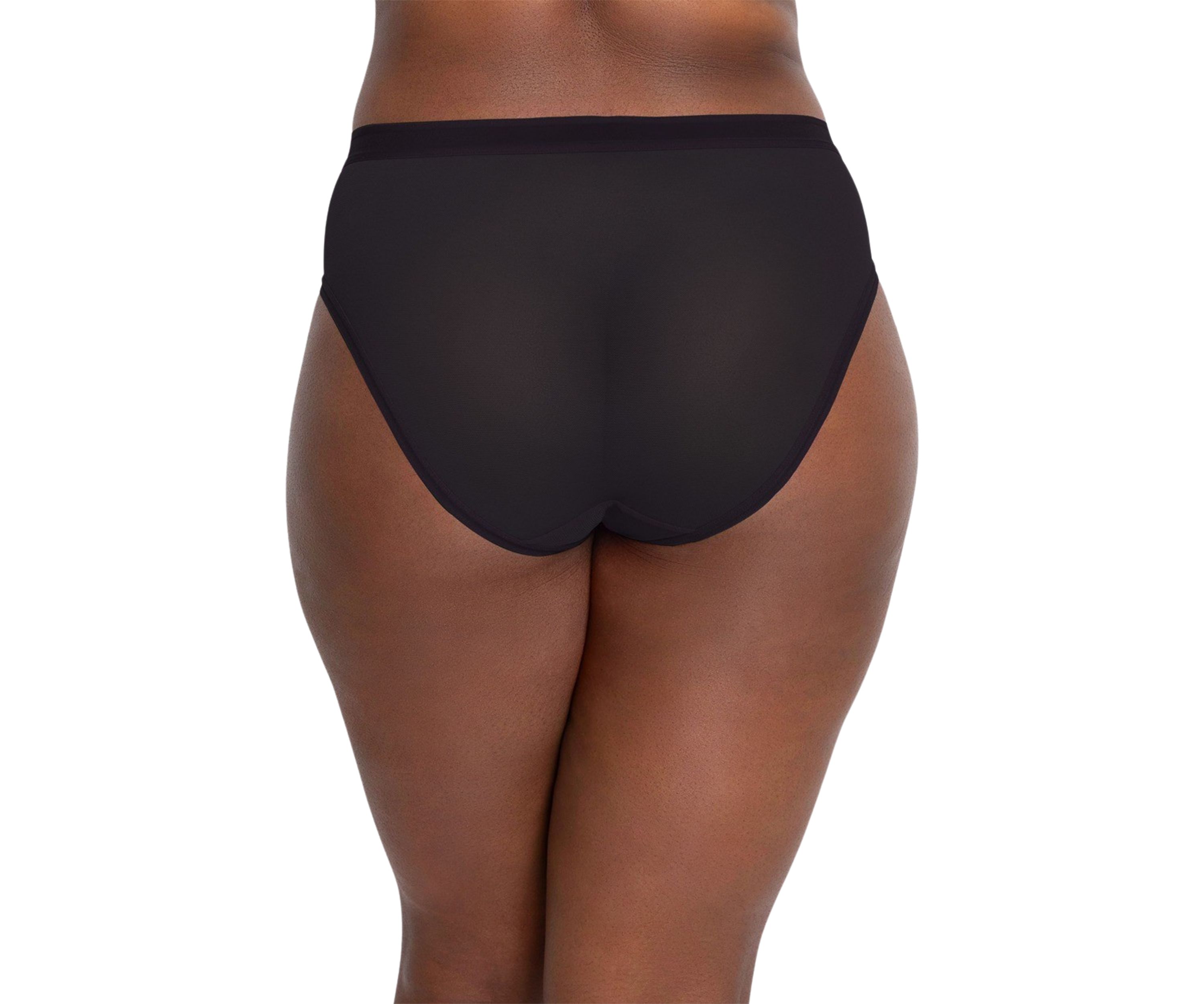 Plus Size Sheer Mesh High Cut Brief Panty