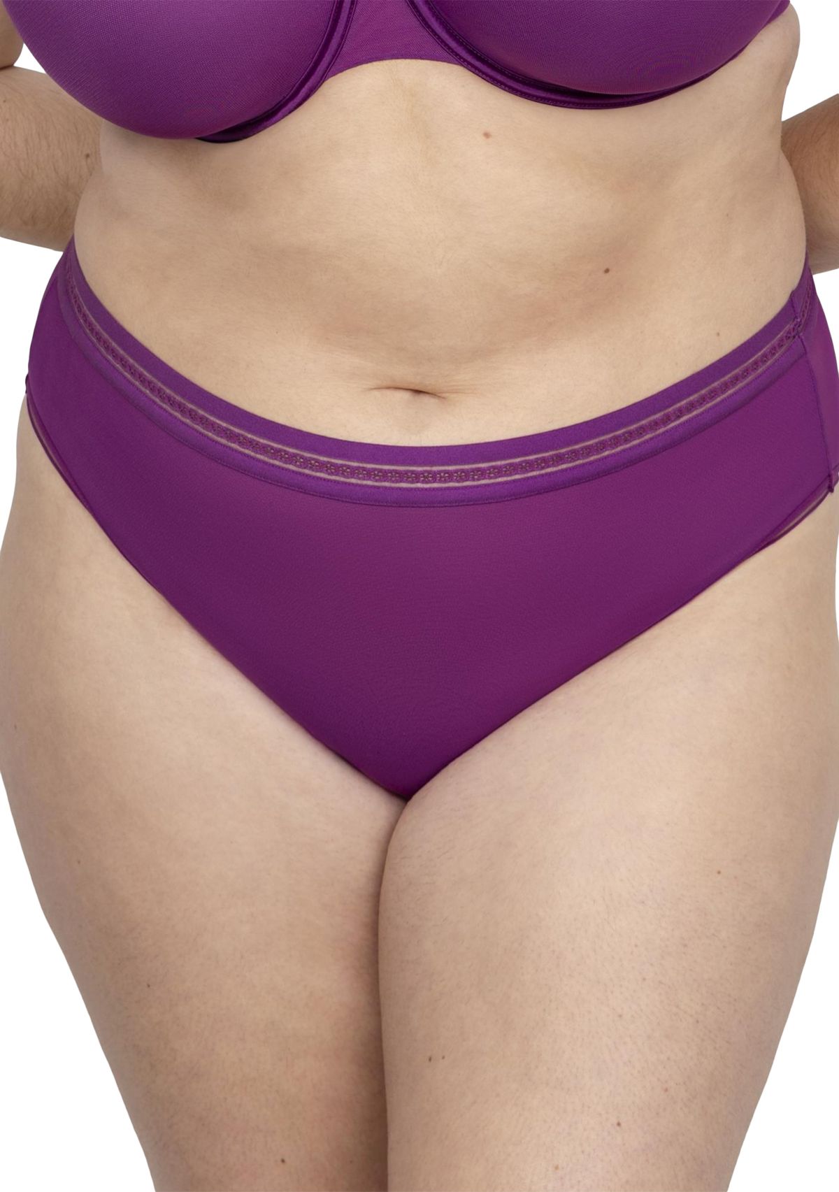 Sheer Mesh High Cut Brief Panty