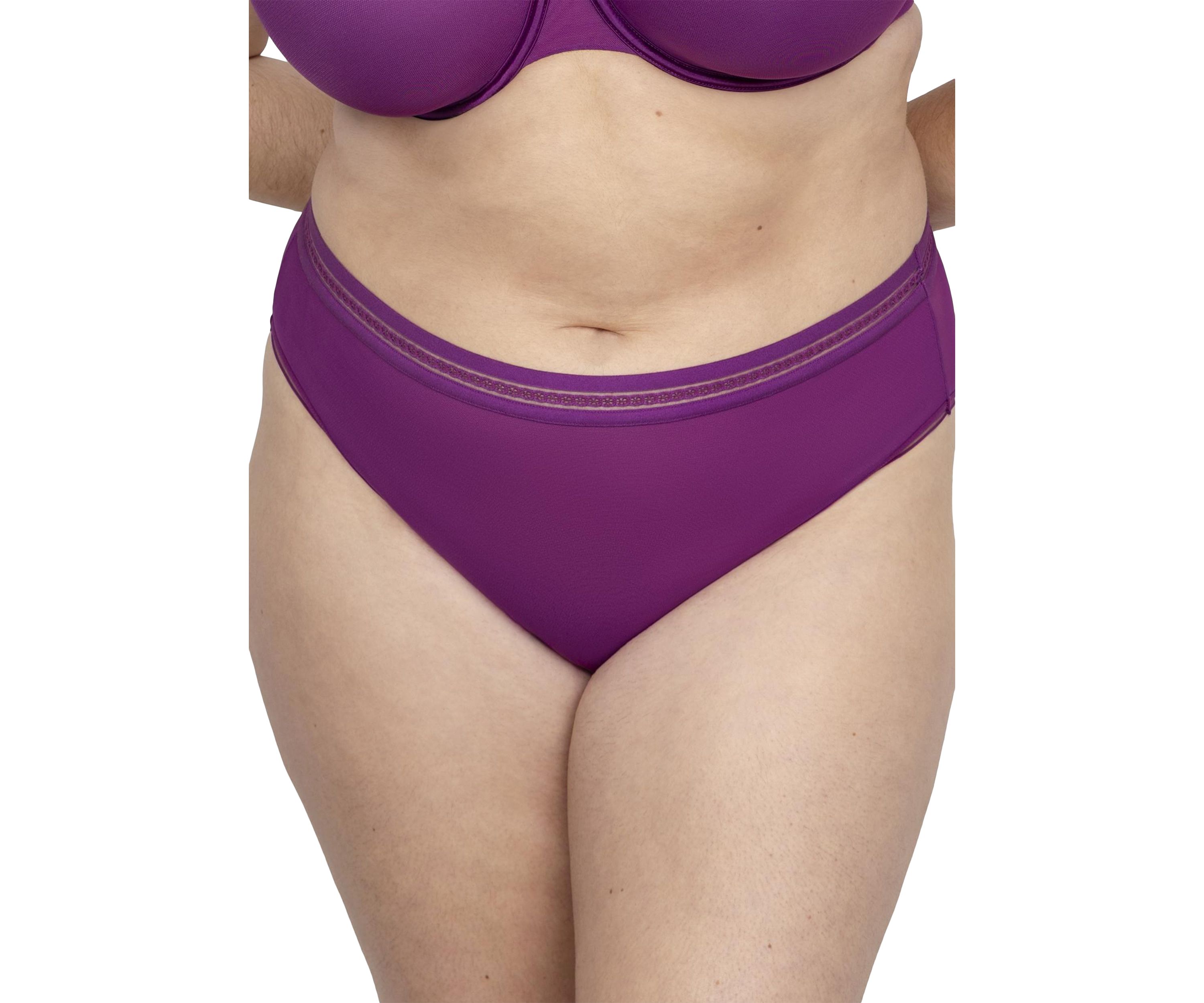 Sheer Mesh High Cut Brief Panty