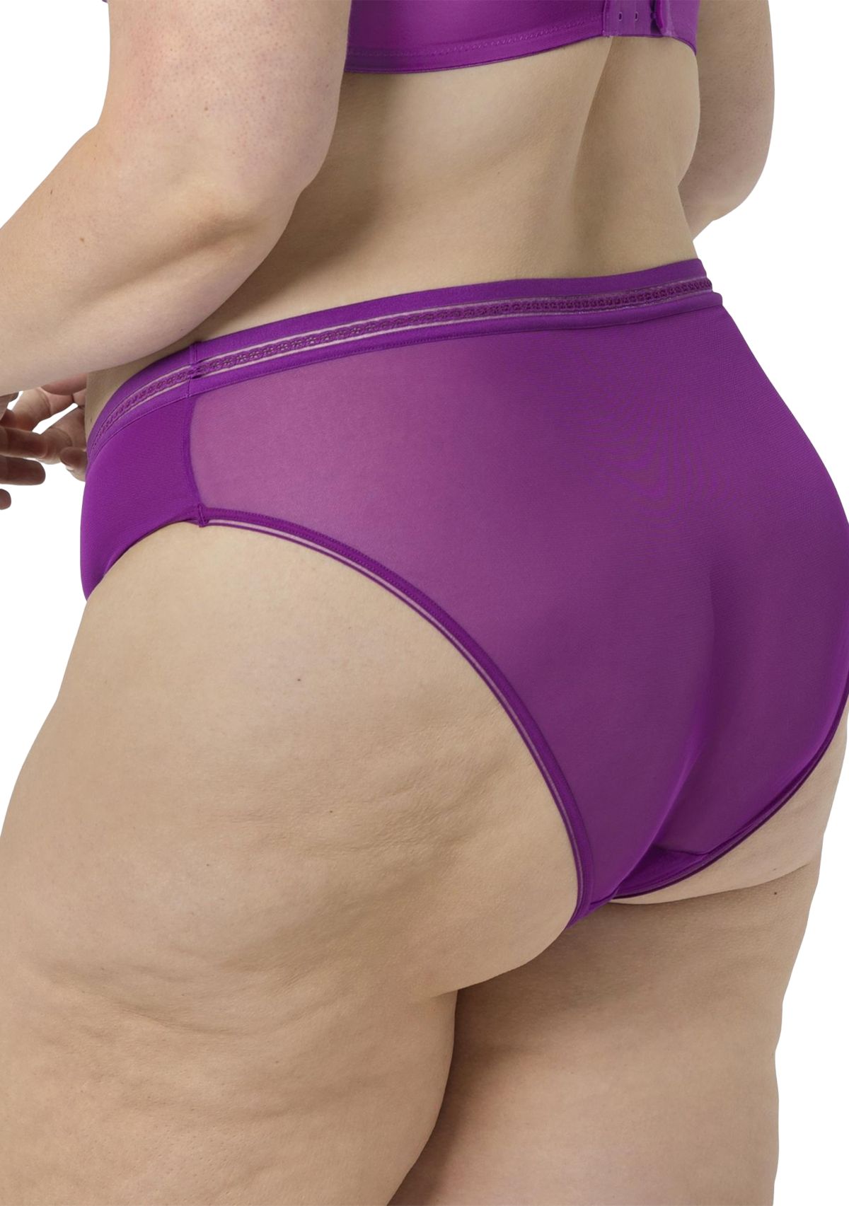 Sheer Mesh High Cut Brief Panty