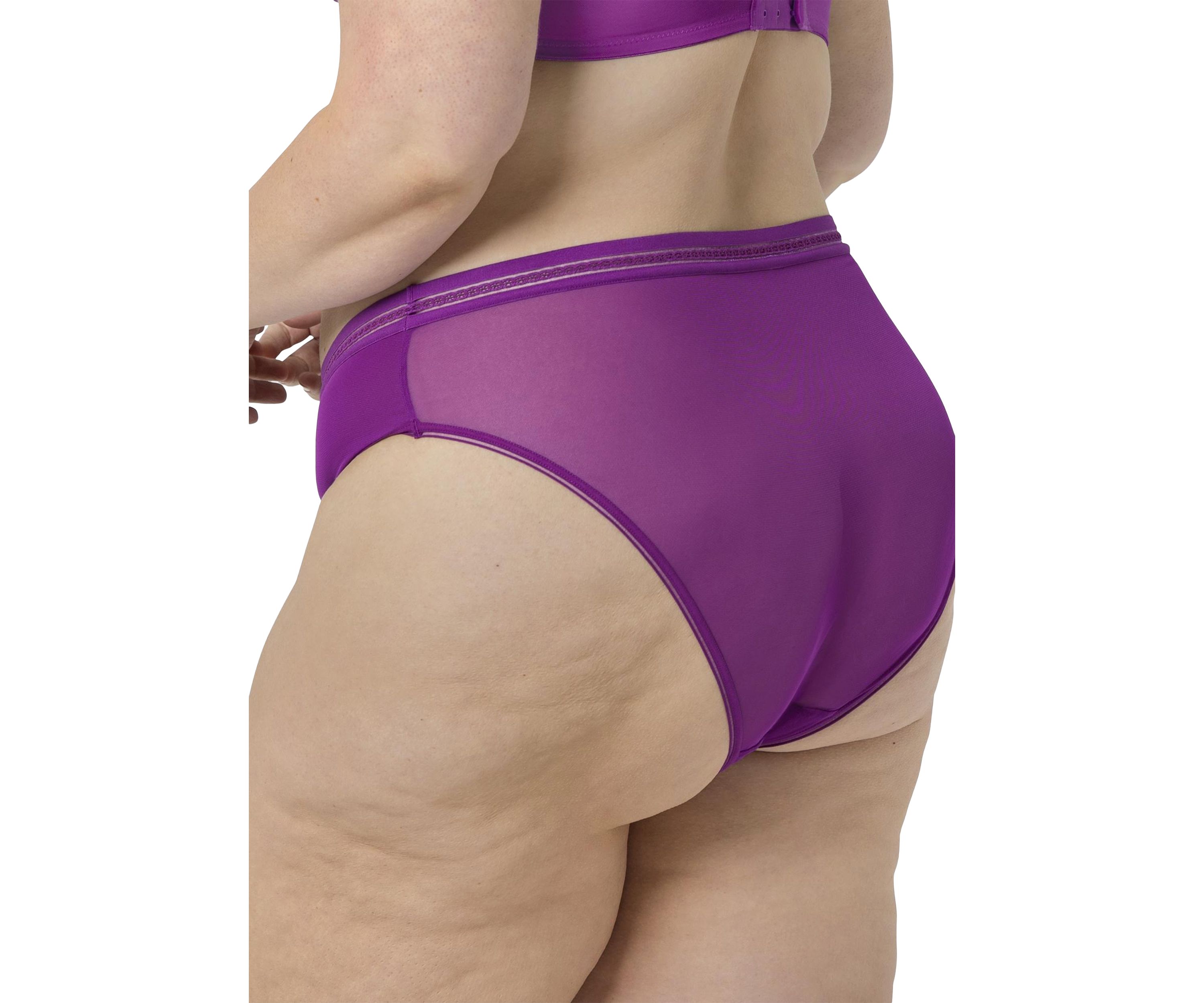 Sheer Mesh High Cut Brief Panty