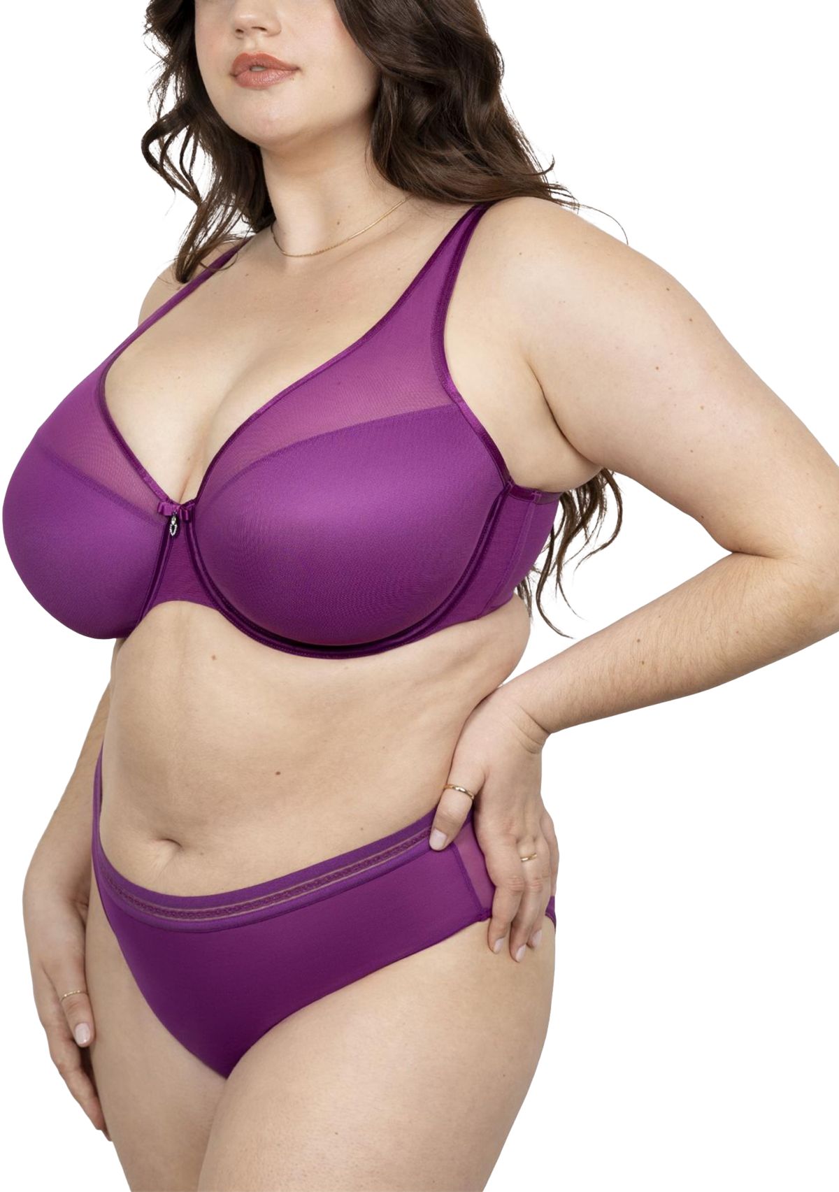 Sheer Mesh High Cut Brief Panty