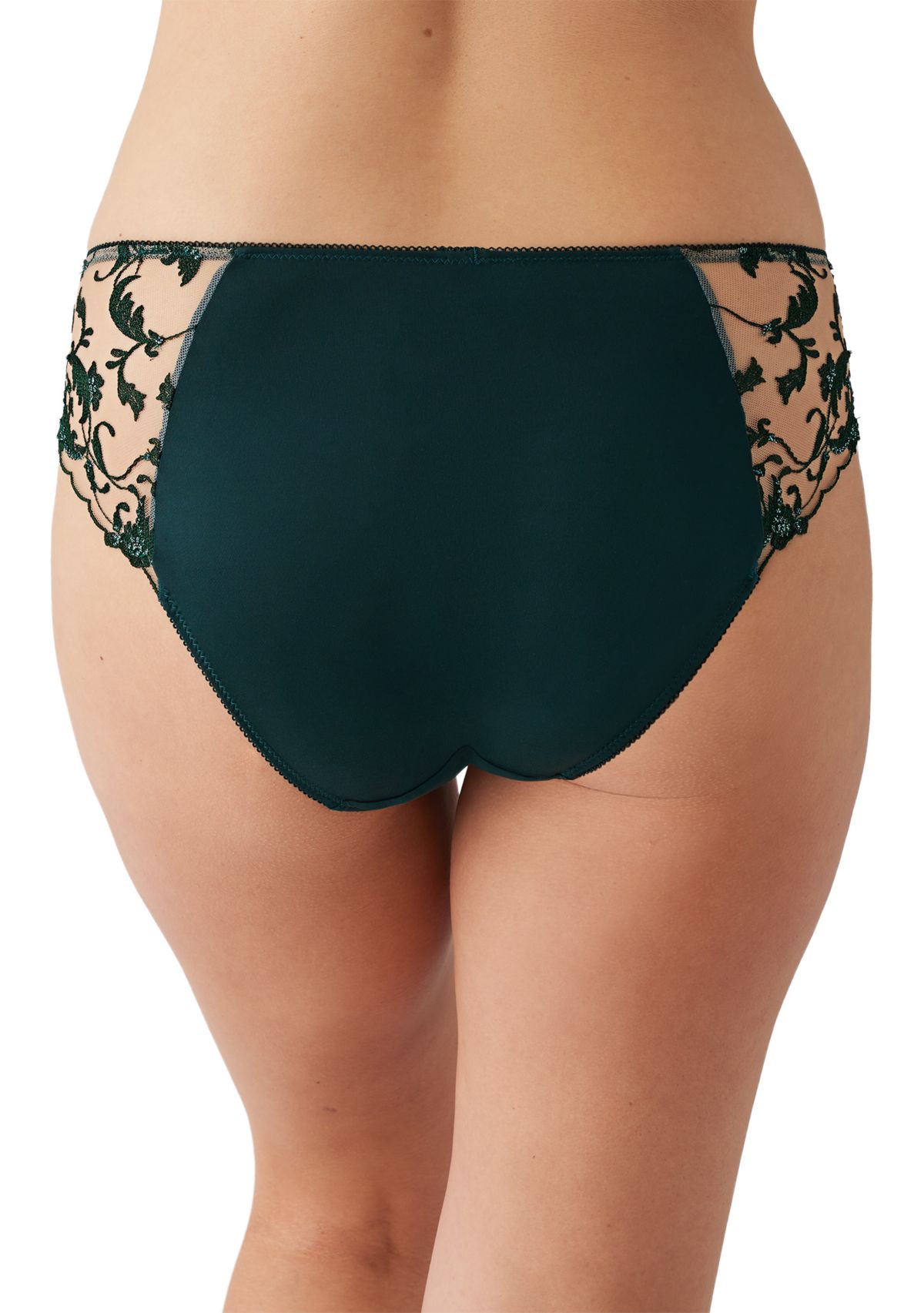 Dramatic Interlude Bikini Panty 