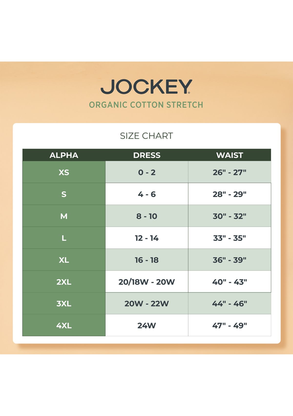 Organic Cotton Stretch Logo Modern Briefs