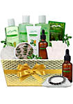 Eucalyptus Mint Aromatherapy Spa Basket Pampering Gift Set. Bath & Body Spa Gift Baskets for Relaxation!