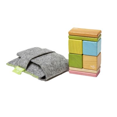 Tegu Magnetic Wooden Blocks, 8-Piece Pocket Pouch, Tints Per St -  853606003100