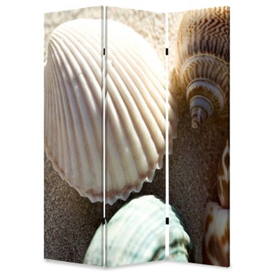 48 x 72 Multi-Color Wood Canvas Sea Shell Screen