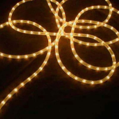 Hofert Led White Twinkle Christmas Rope Lights - 18 Ft Clear Wire