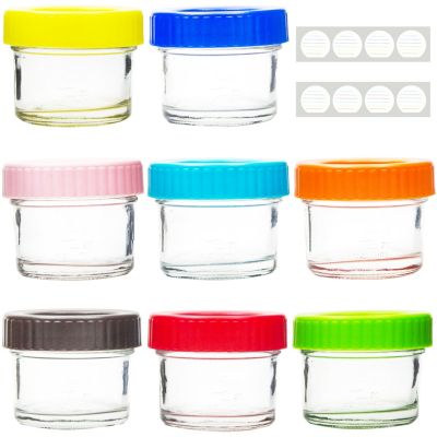 Youngever 8 Sets 4-Compartment Reusable Snack Box Food Containers, Bento Lunch  Box, Meal Prep Containers, Divided Food Storage Containers, in 8 Coastal  Colors