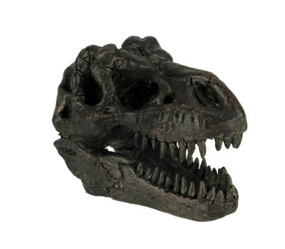 Zeckos Tyrannosaurus Rex Dinosaur Head Fossil Statue Small