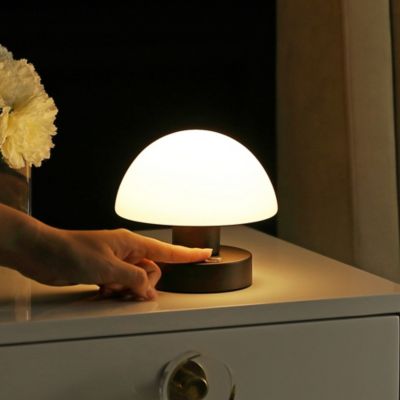 Jonathan Y Carson Modern Minimalist Iron Rechargeable Integrated LED Table Lamp