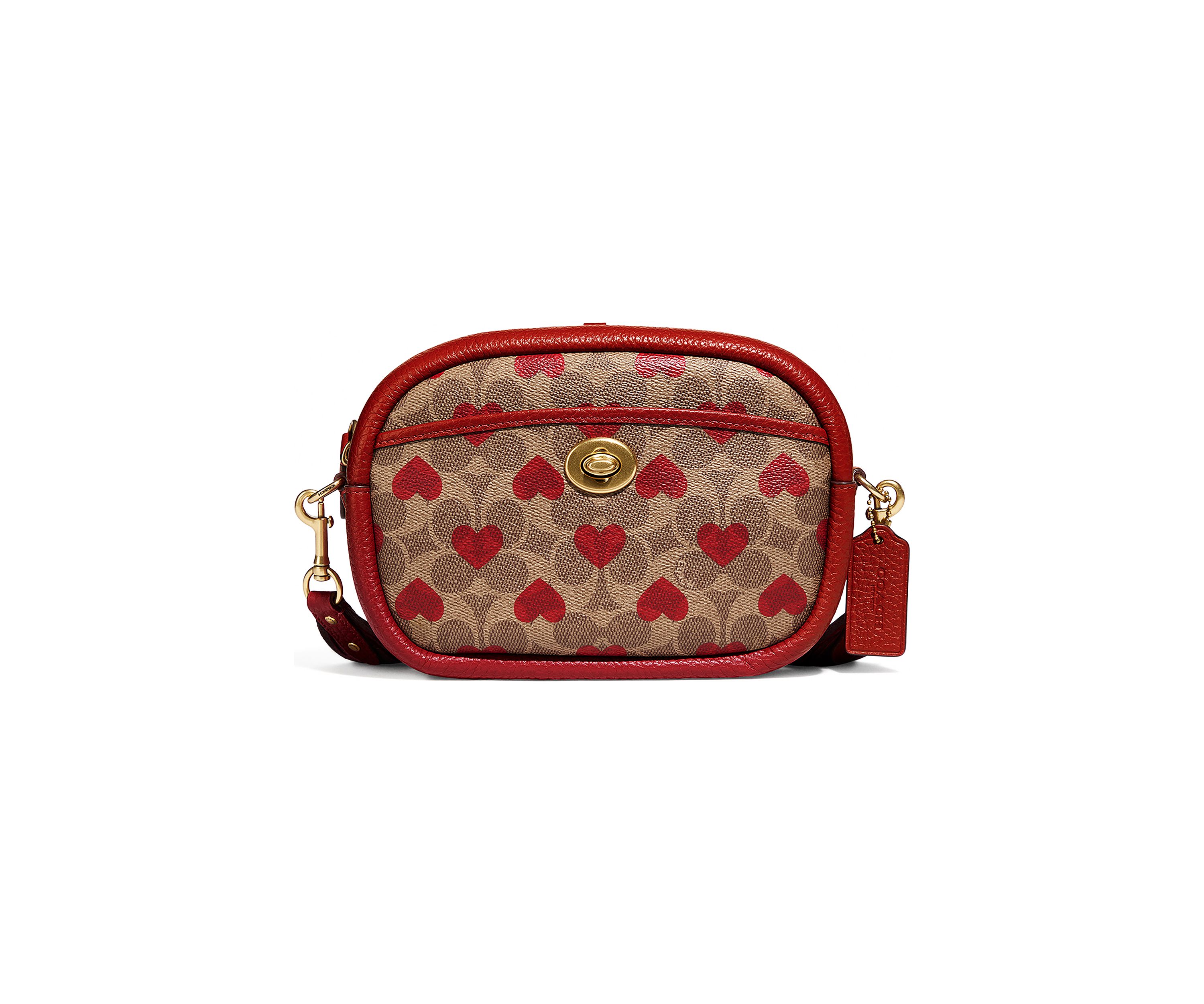 Camera Bag in Signature Canvas with Heart Print