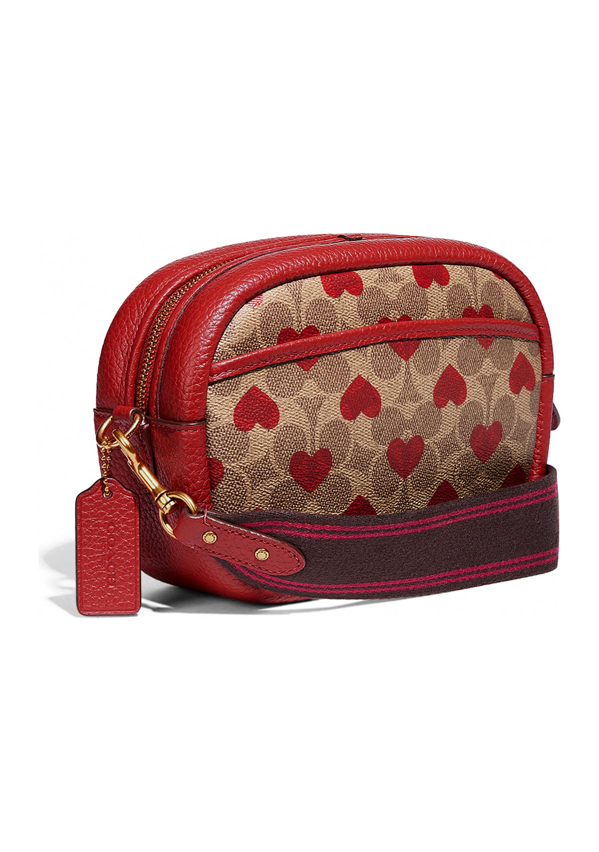 Camera Bag in Signature Canvas with Heart Print