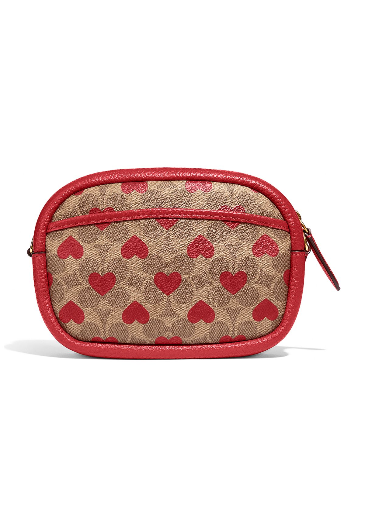 Camera Bag in Signature Canvas with Heart Print