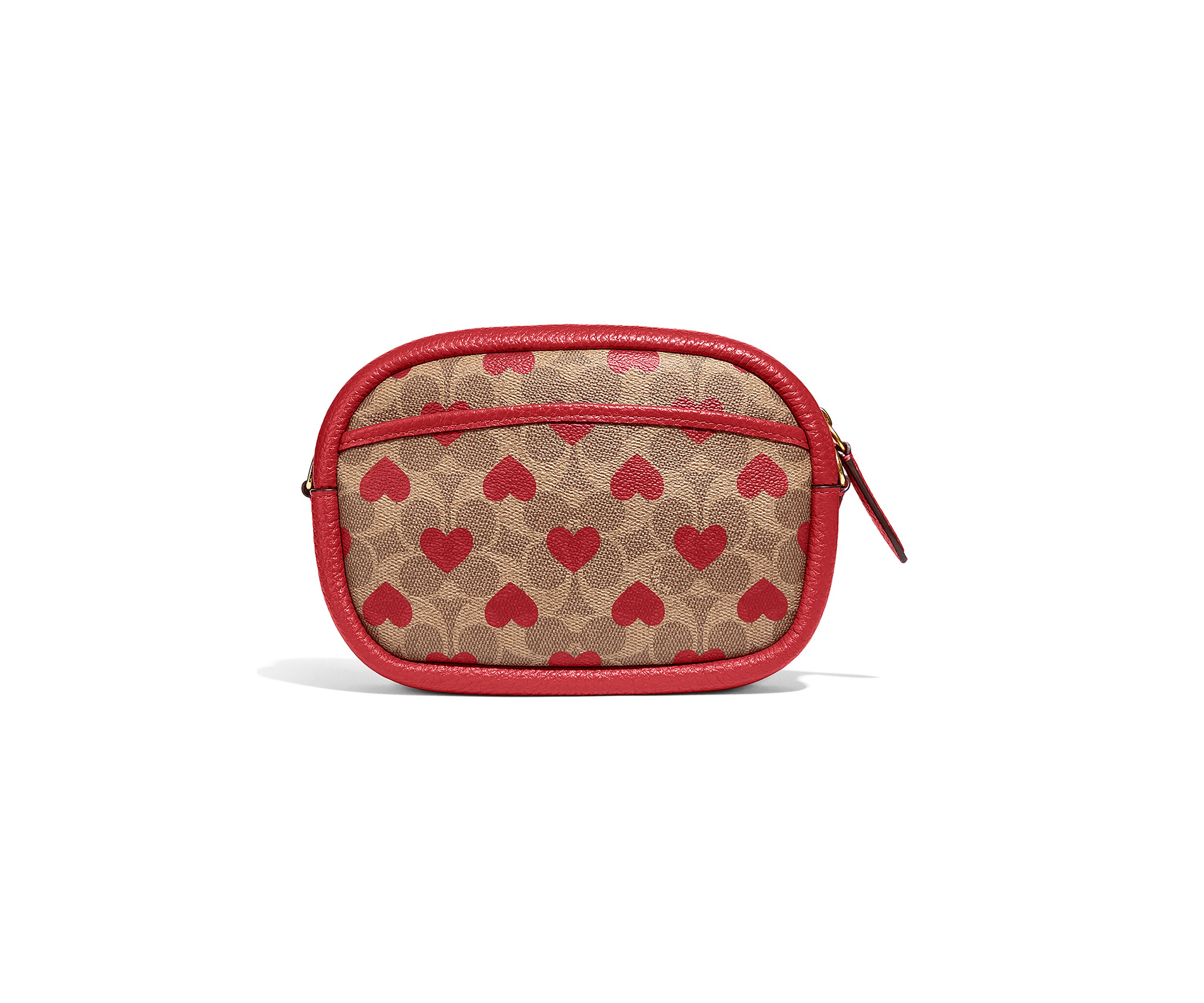 Camera Bag in Signature Canvas with Heart Print