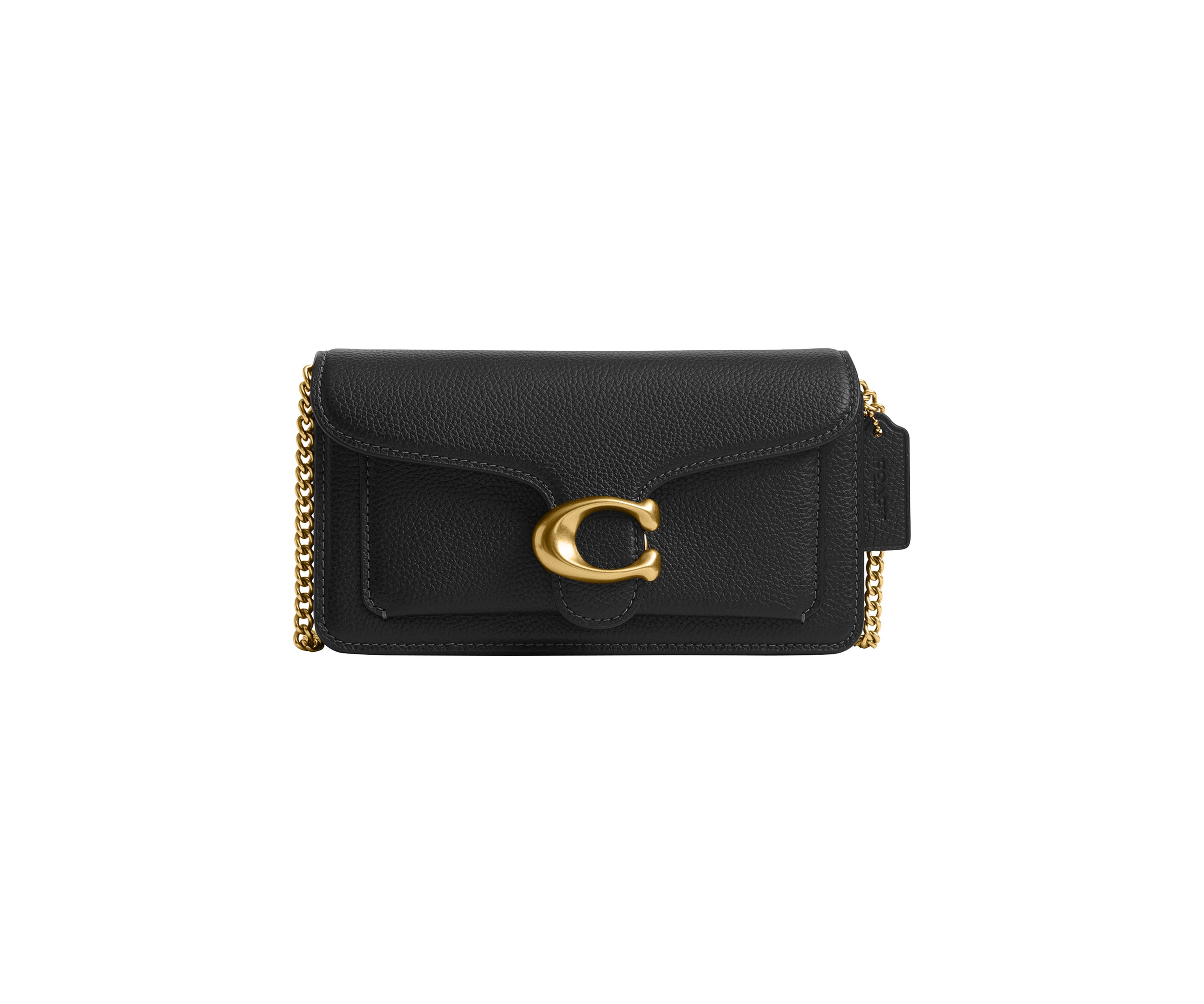 Tabby Chain Crossbody Bag  19