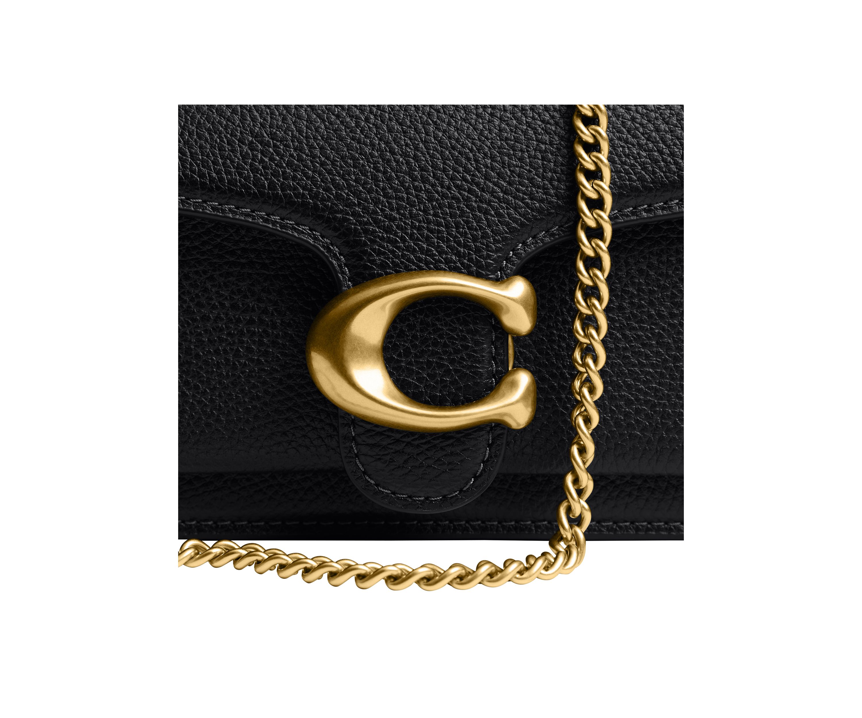 Tabby Chain Crossbody Bag  19