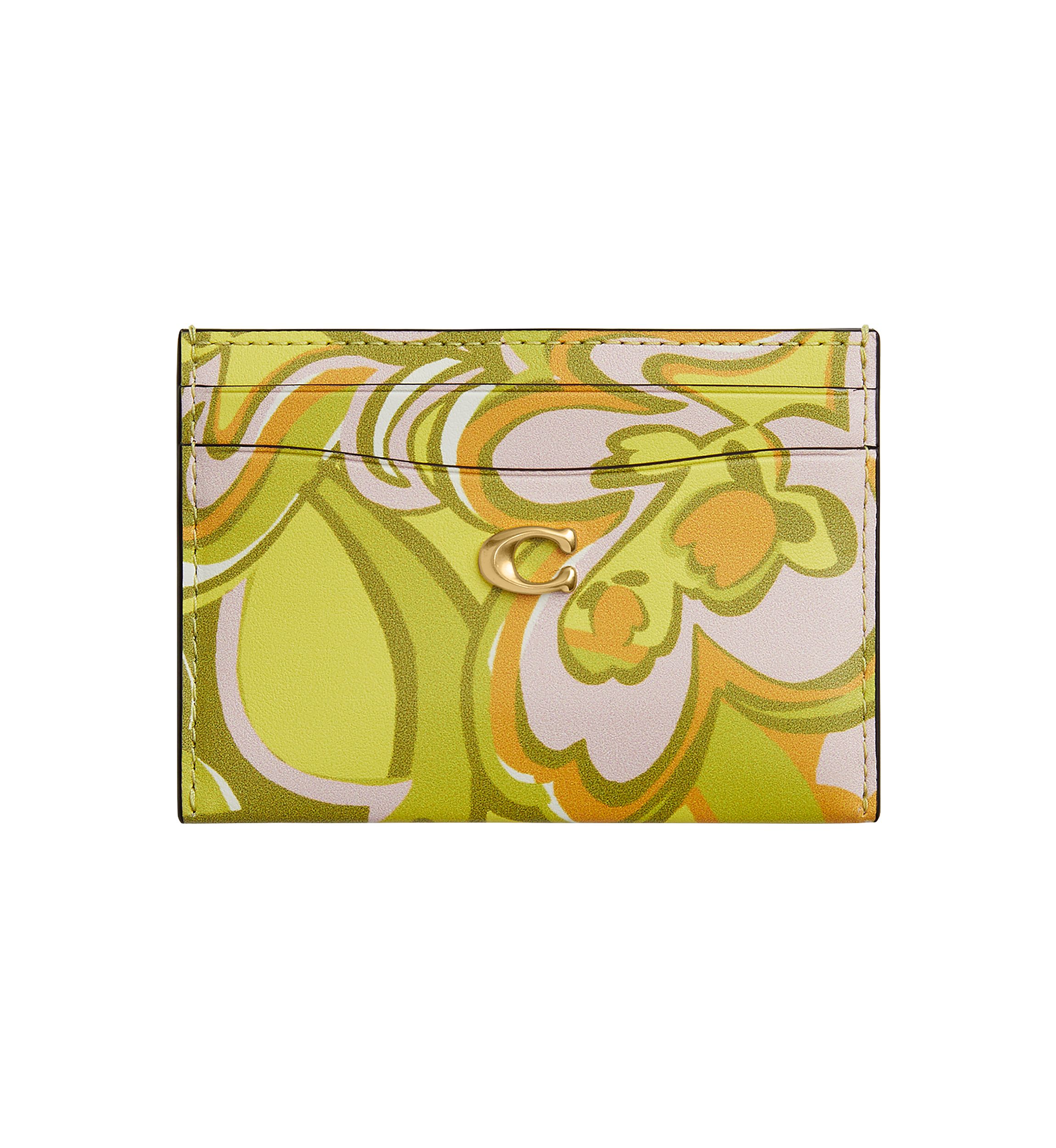 Essential Card Case with Paisley Print