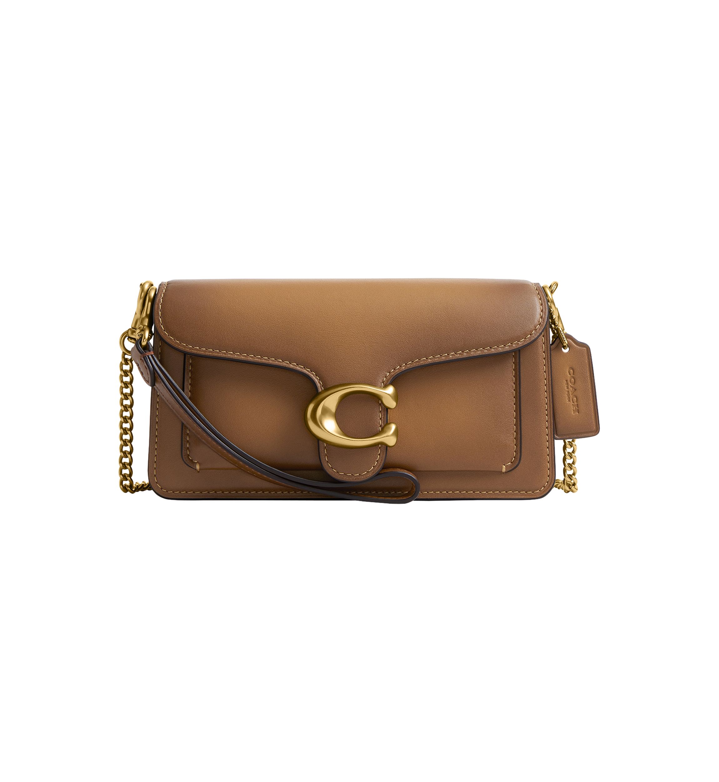 Tabby Chain Crossbody Bag 19
